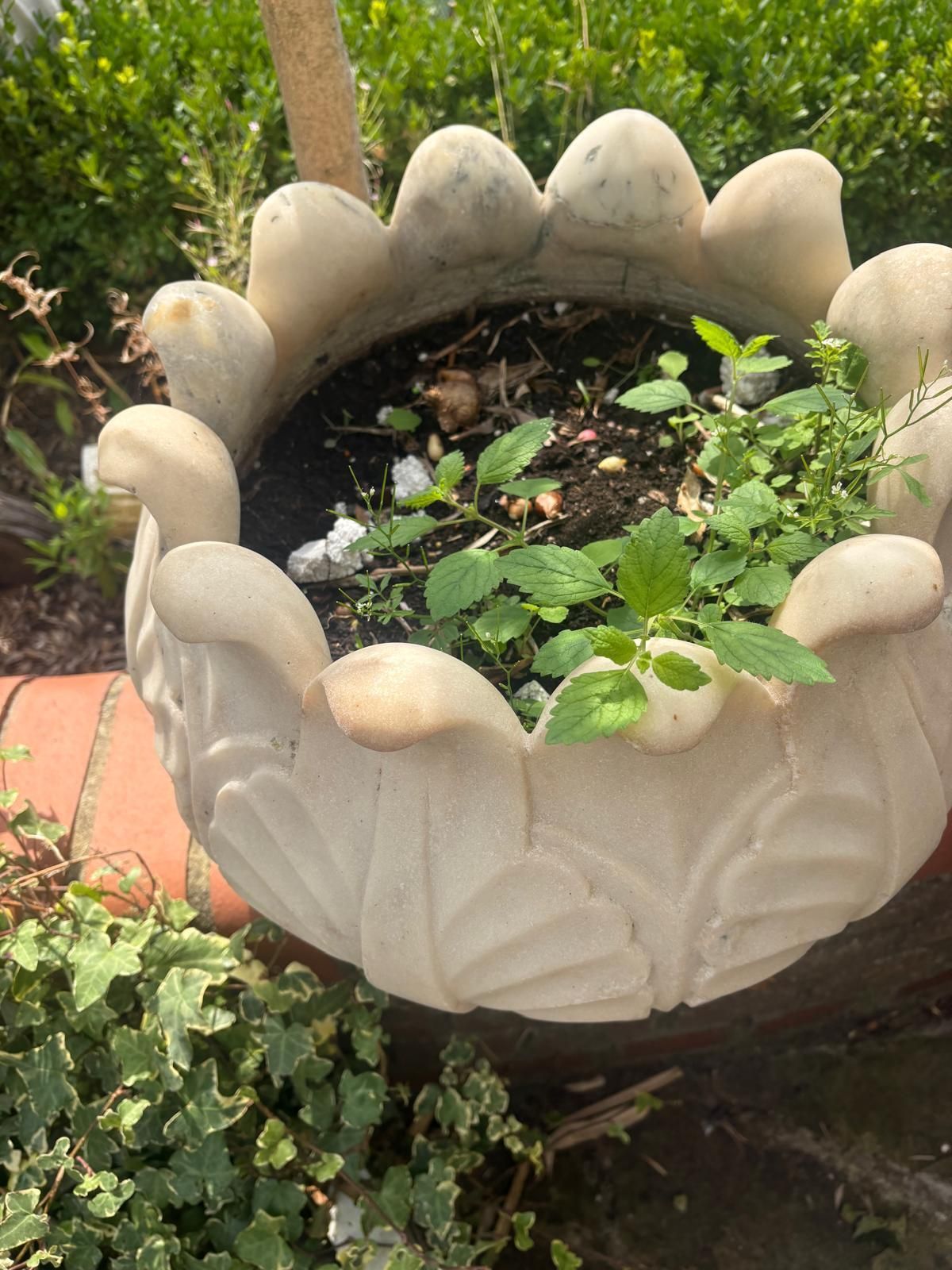 Variety 20th Century Hand Carved  Marble Planters Leaf Pattern, Scalloped / Round Top photo 148.99