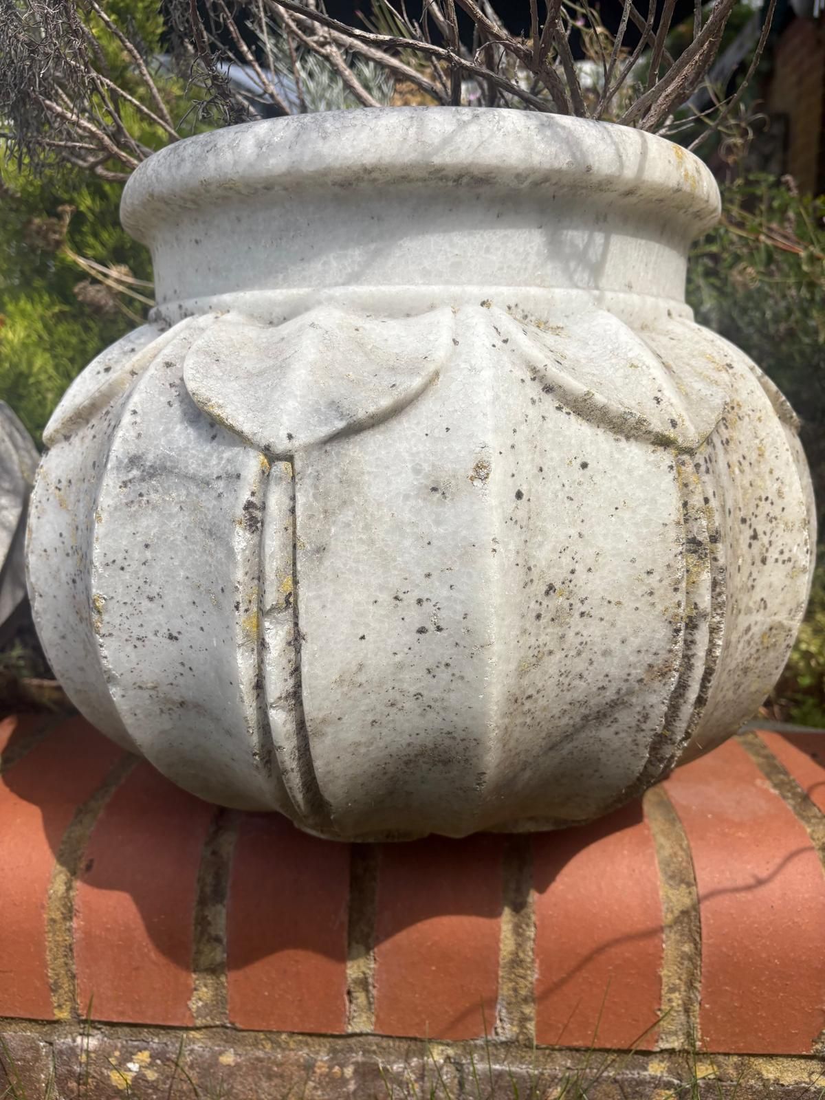 148.99 Variety 20th Century Hand Carved  Marble Planters Leaf Pattern, Scalloped / Round Top photo