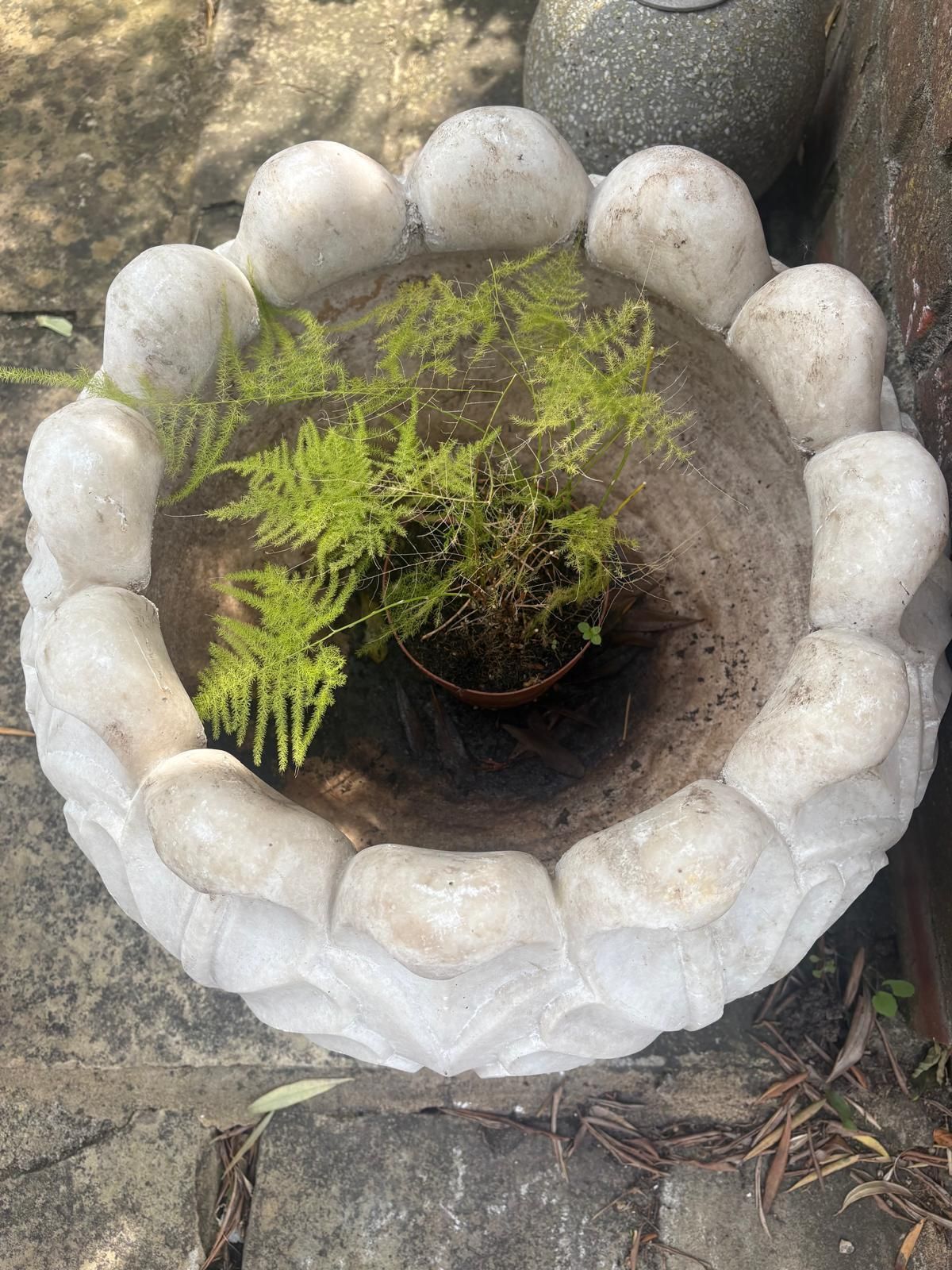 photo vintage Variety 20th Century Hand Carved  Marble Planters Leaf Pattern, Scalloped / Round Top