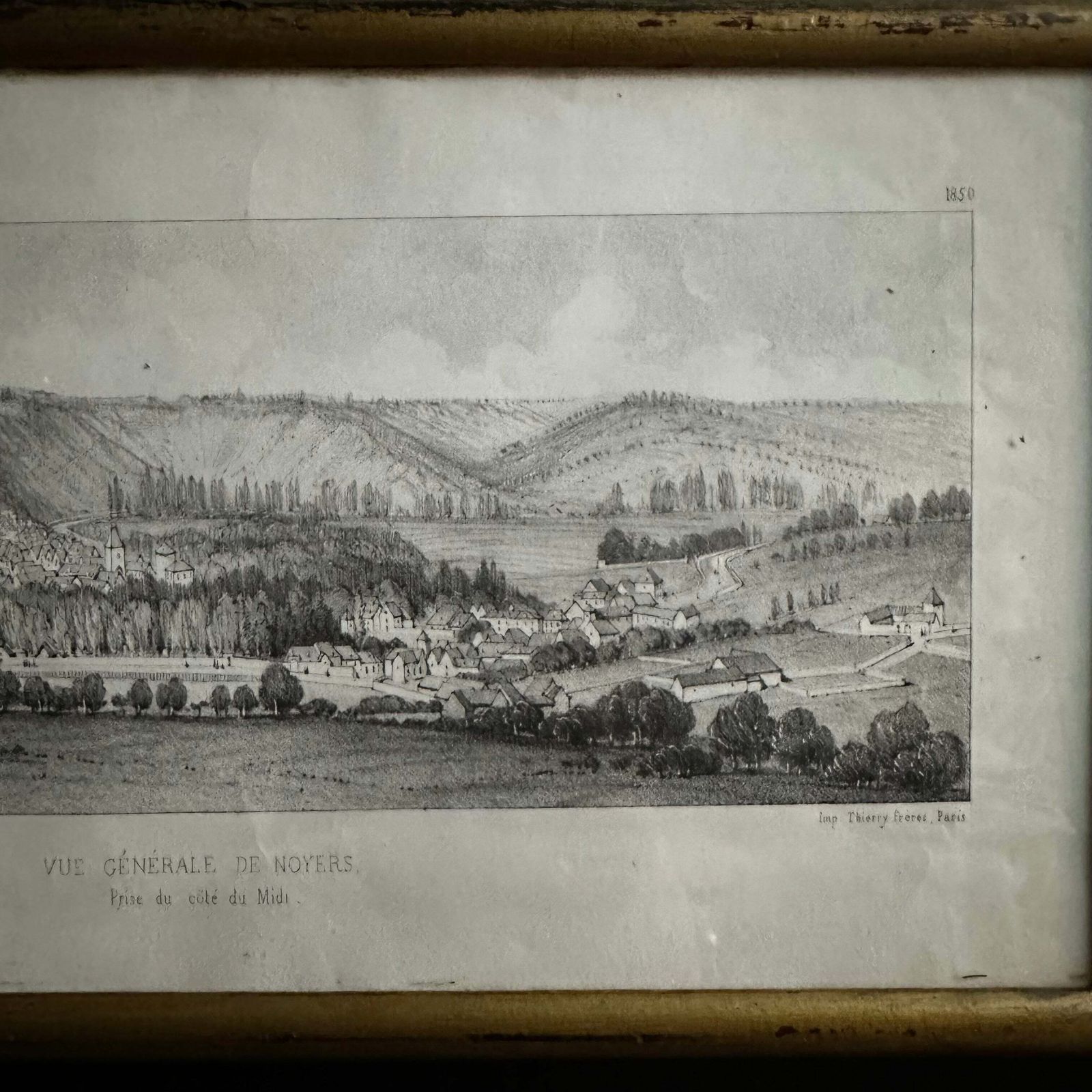 Victor Petit “General View Of Walnut Trees” (1850) French Antique Lithograph photo for sale