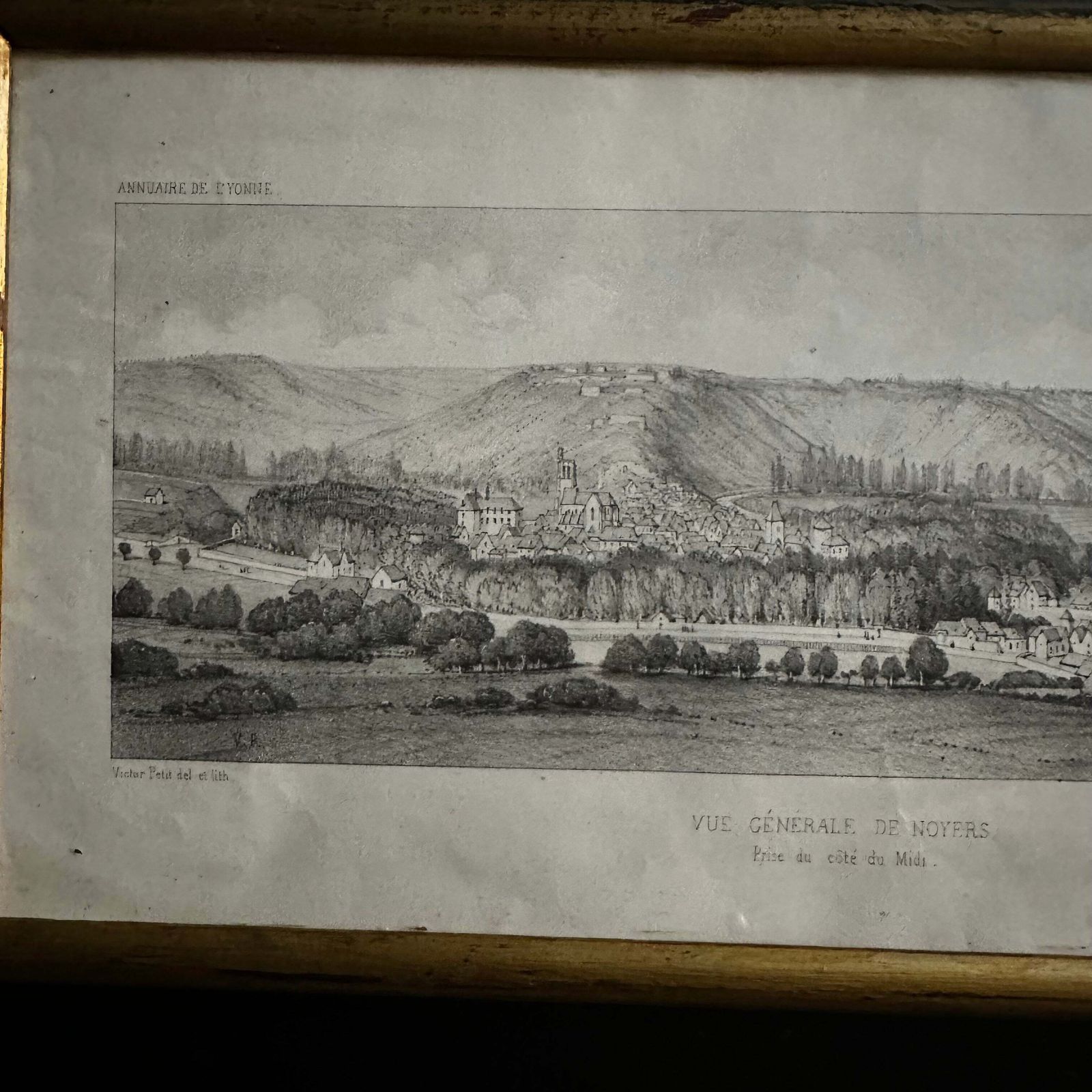 Victor Petit “General View Of Walnut Trees” (1850) French Antique Lithograph photo Art