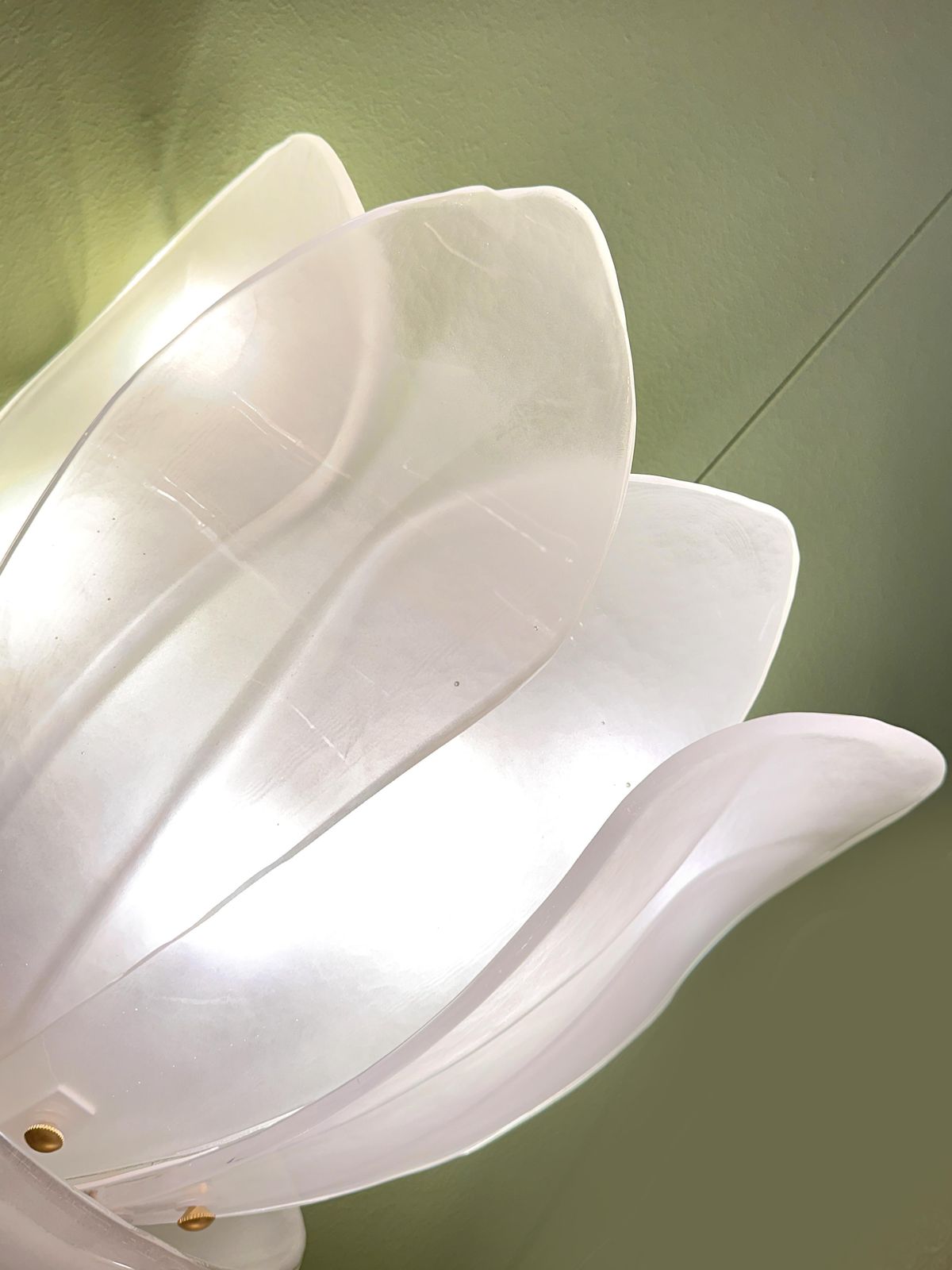Contemporary Venetian Sanded Murano Glass Floreal Wall Sconces Set Of Two photo vinterior