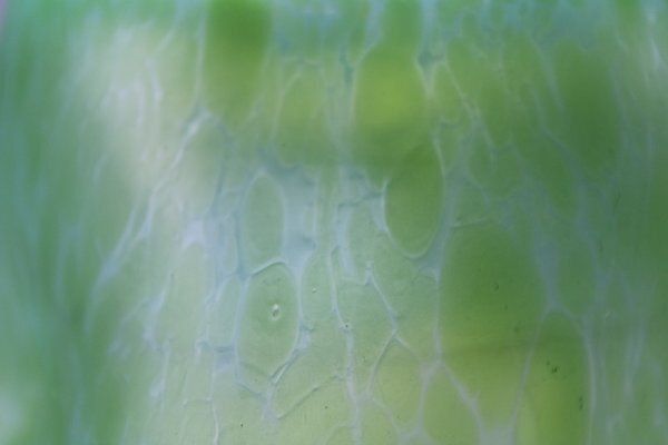 Iridescent Green Glass Vase Attributed To Johann Loetz Witwe For Loetz Glass, 1890s photo for sale