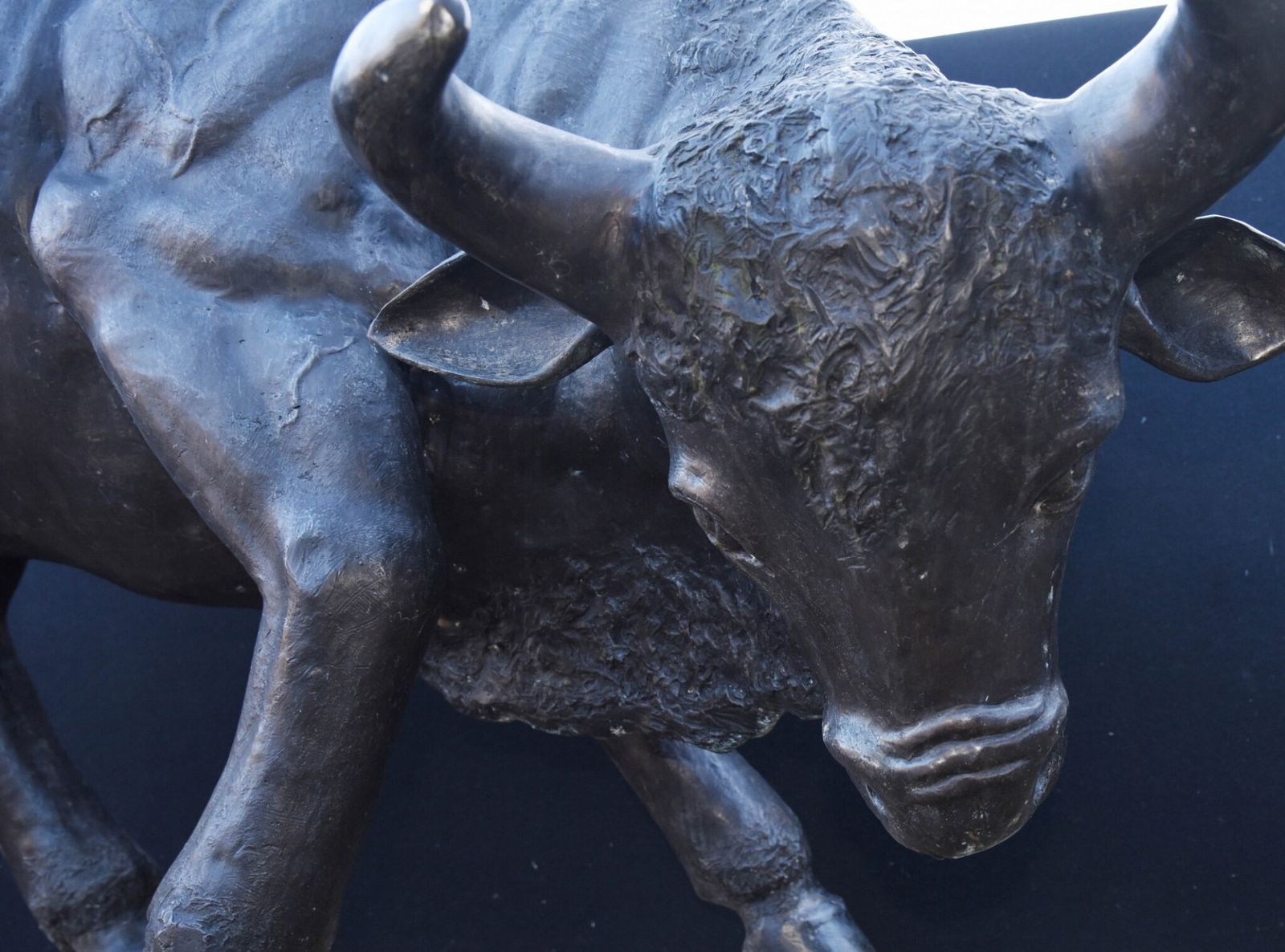 Giant Bronze Bull Statue   Bullock Garden Animals photo 4650.0