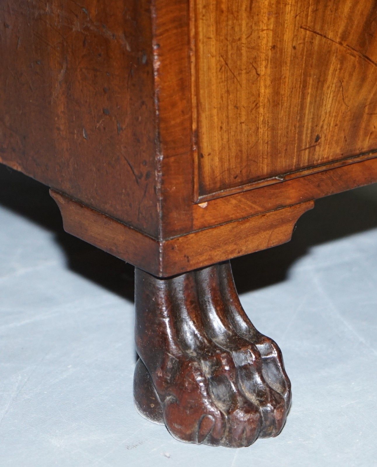 Exquisite Regency Period 1815 Mahogany Kneehole Desk With Lion Hairy Paw Feet photo 2541.0
