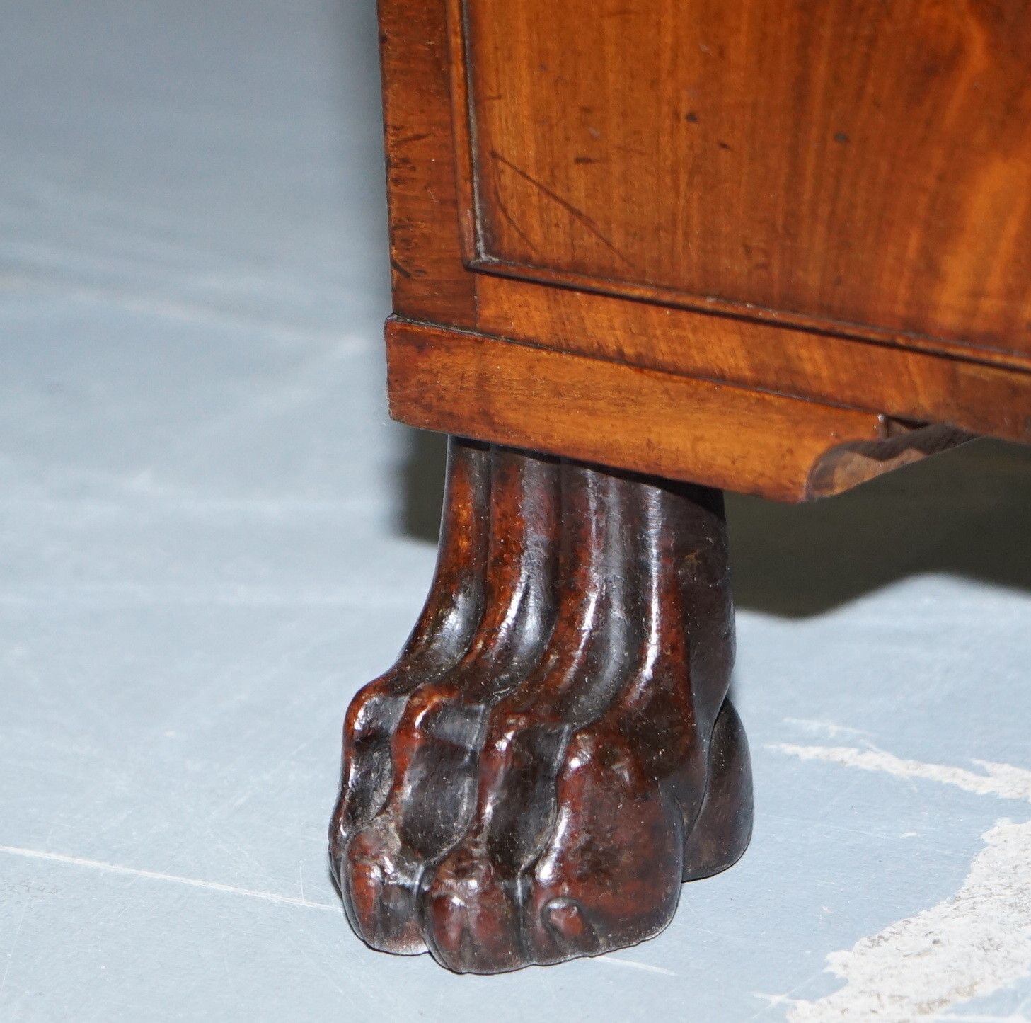 Exquisite Regency Period 1815 Mahogany Kneehole Desk With Lion Hairy Paw Feet photo buy