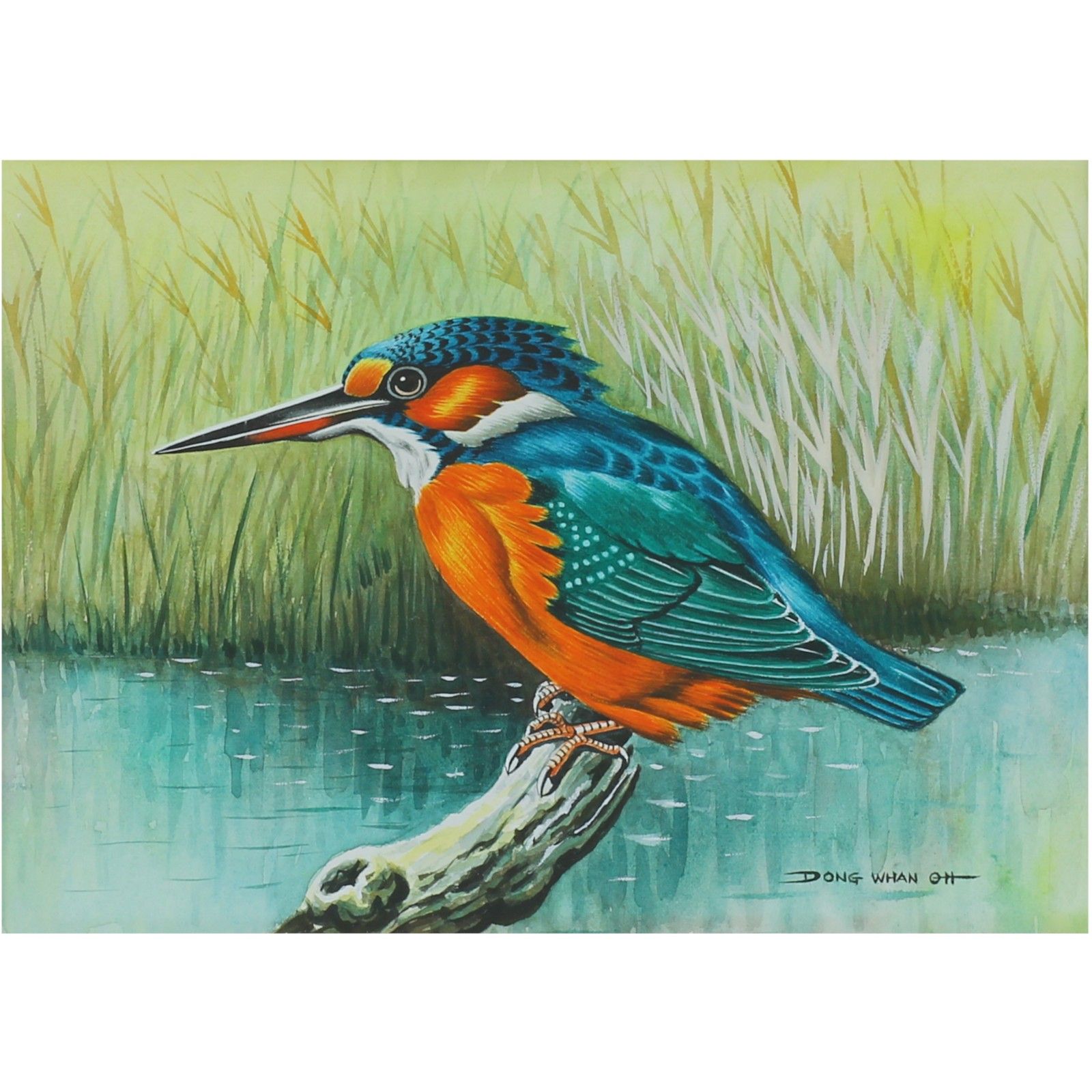 Watercolour And Gouache By Dong Whan Oh. Subject Is A Kingfisher photo for sale