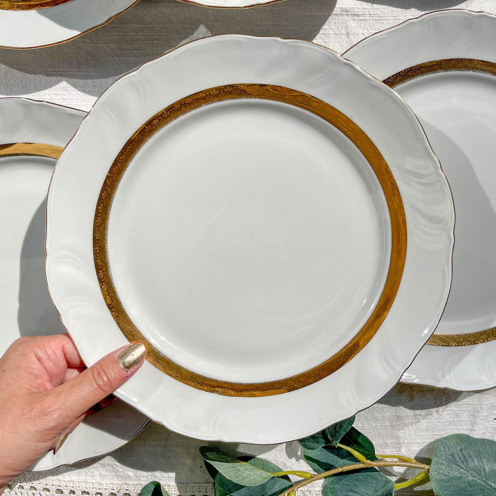 6 Vintage White And Gold Porcelain Dinner Plates, Limoges, France, Adp "Ariane" – Elegant Antique French Tableware photo vintage