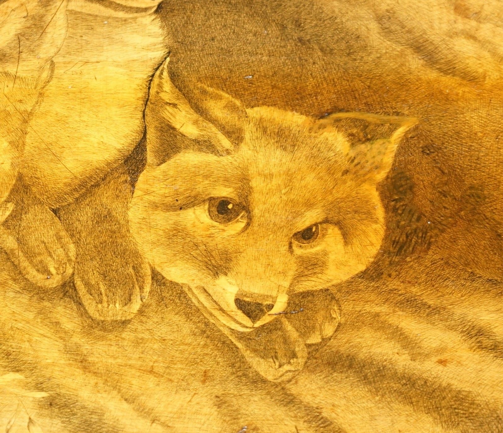 photo for sale Very Rare Victorian Tilt Top Ebonised Table With Pen Work Drawings Of Fox Cubs