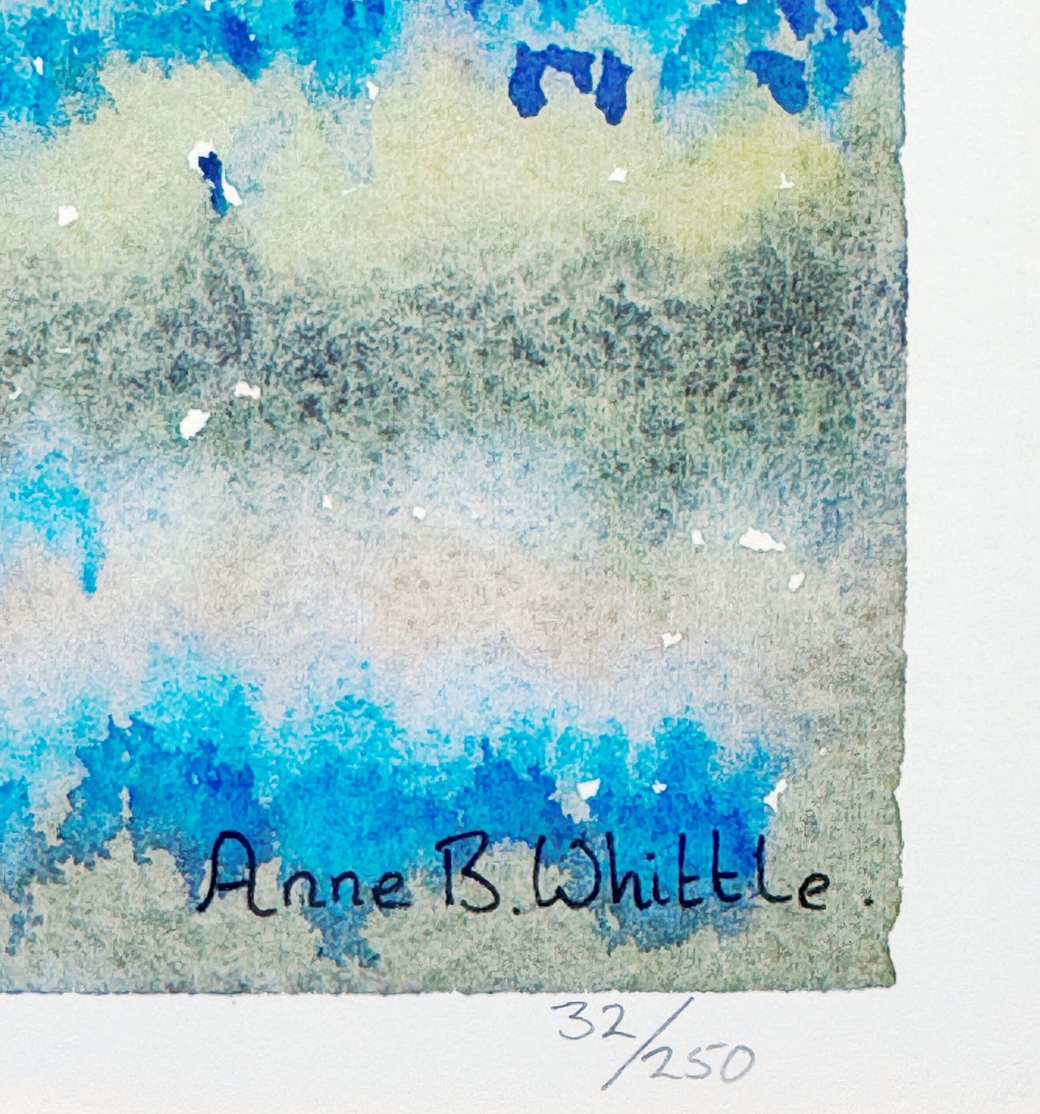 Wild Daffodils Pencil Signed Limited Edition Contemporary Print By Anne Whittle photo for sale