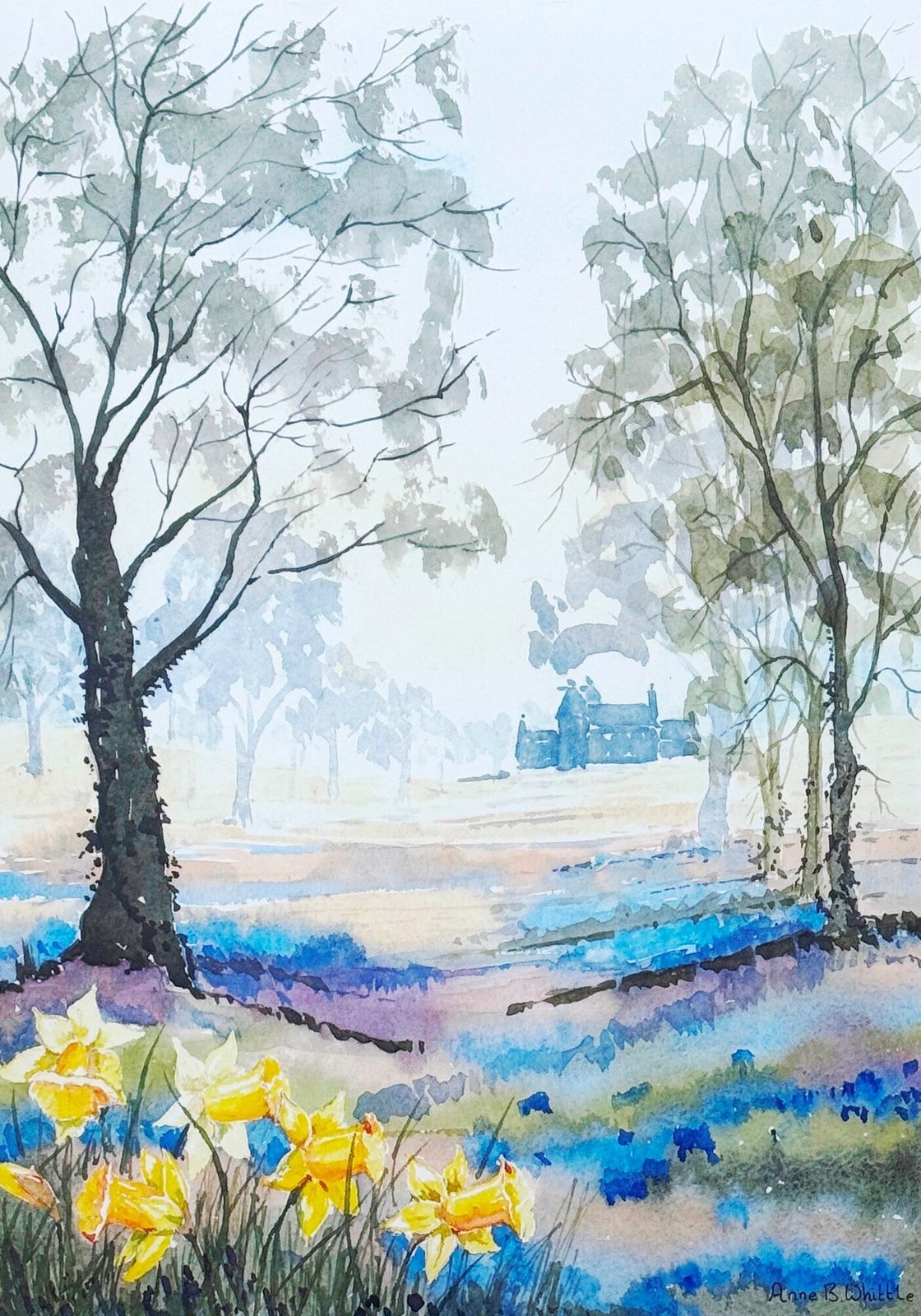 Wild Daffodils Pencil Signed Limited Edition Contemporary Print By Anne Whittle photo Art