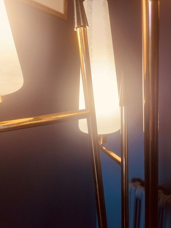 photo for sale Rare Floor Lamp By Maison Lunel, France