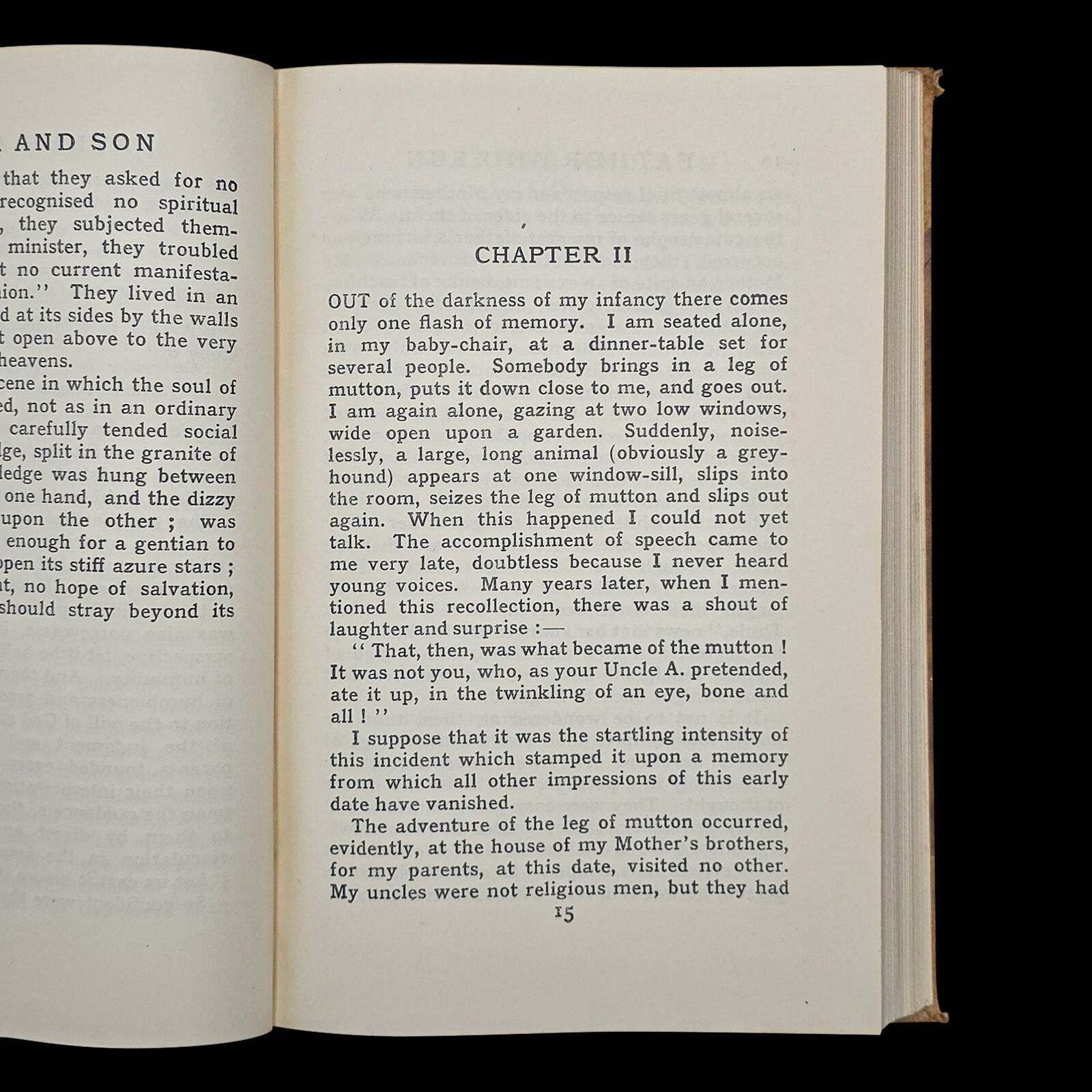 Vintage Book, Father And Son, Edmund Gosse, Memoir, Literary Classic, Circa 1935 photo vinterior