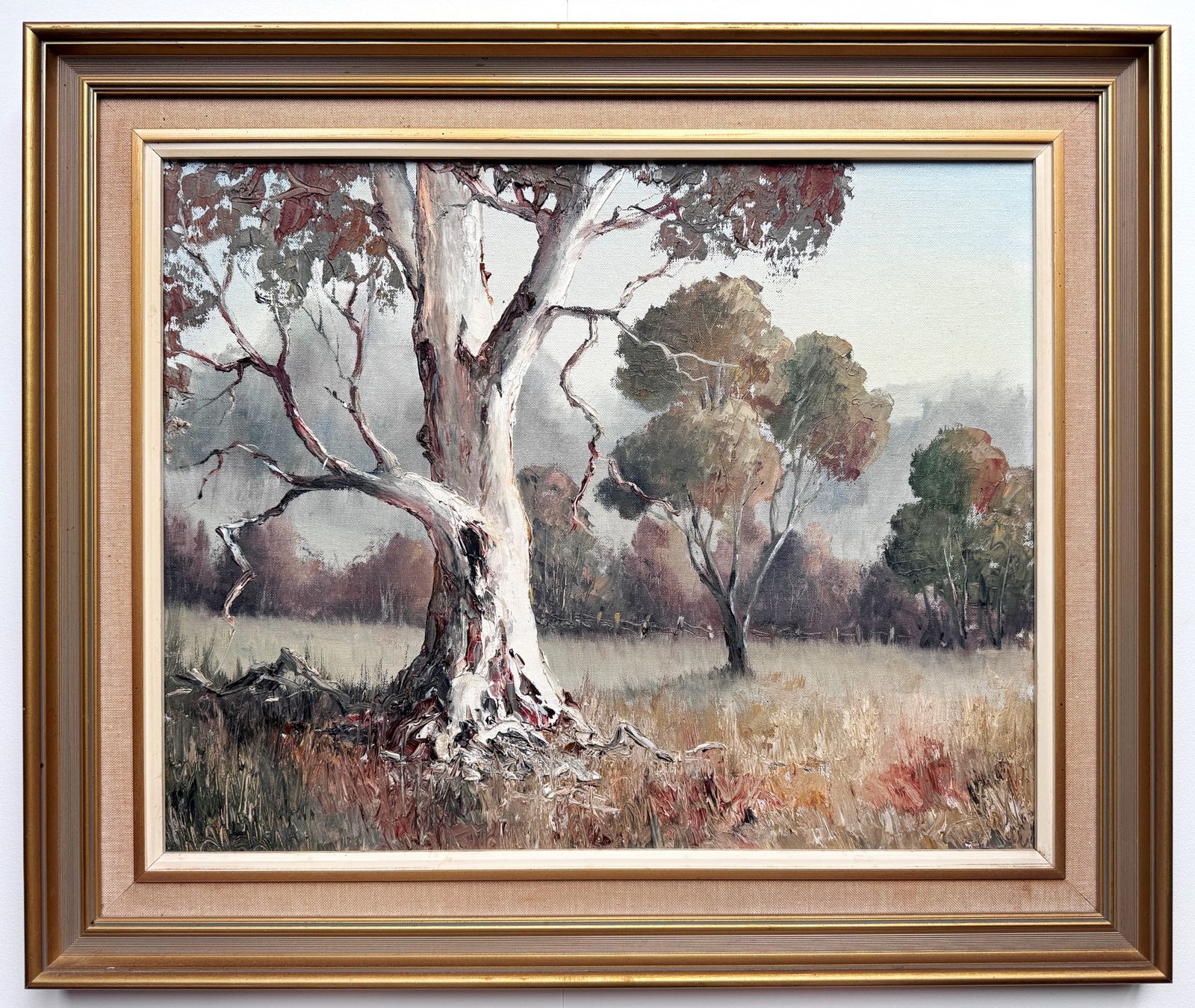 The White Gum Australian Oil On Board Painting By Nan Rogers