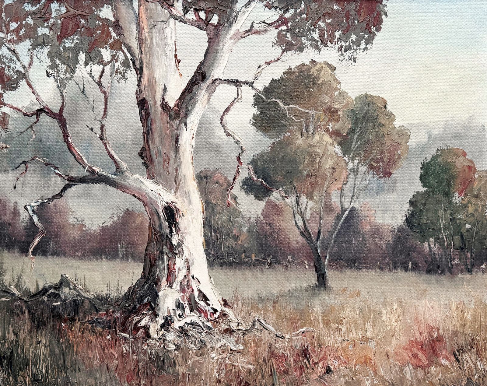 The White Gum Australian Oil On Board Painting By Nan Rogers photo furniture
