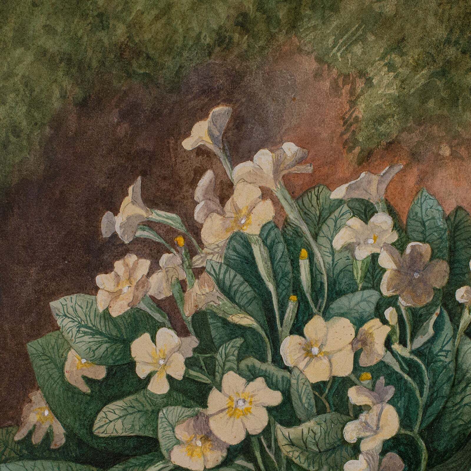 Vintage Still Life, English School, Watercolour, Flower Picture, Painting, Art photo 915.0