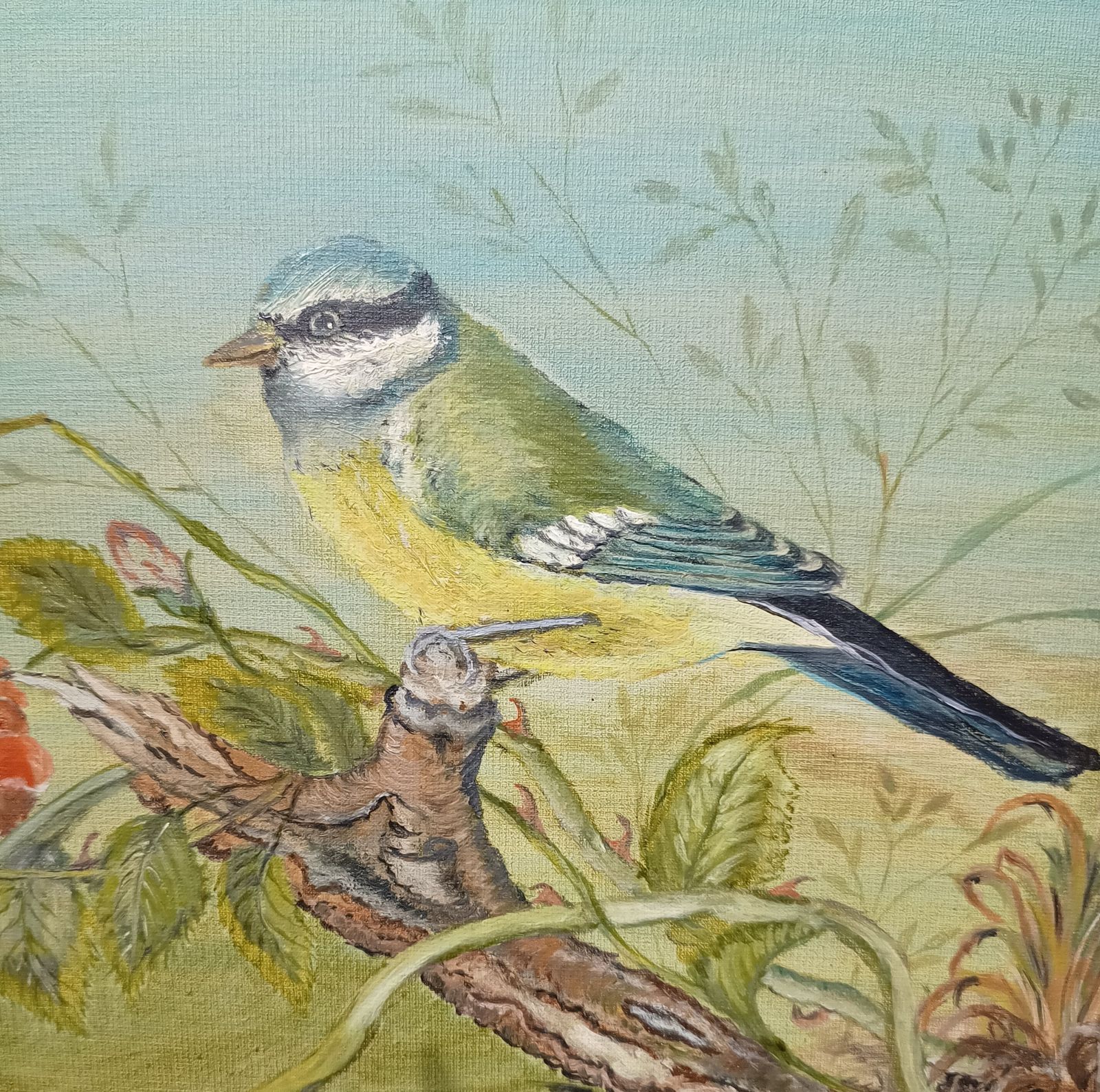 Unframed Oil Painting Blue Tit Bird Amongst Brambles And Red Flower Signed E.R.Wilson. photo for sale