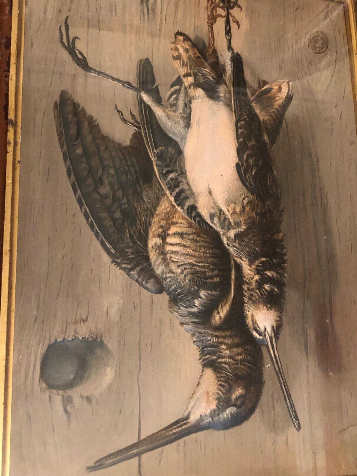 Late 19th Century Trompe L Oeil Study " Woodcock And Snipe " photo furniture