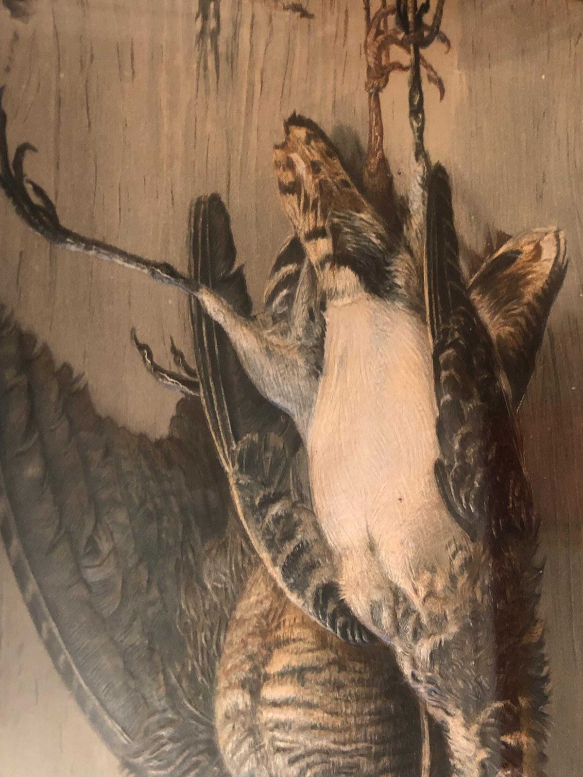 Late 19th Century Trompe L Oeil Study " Woodcock And Snipe " photo Art