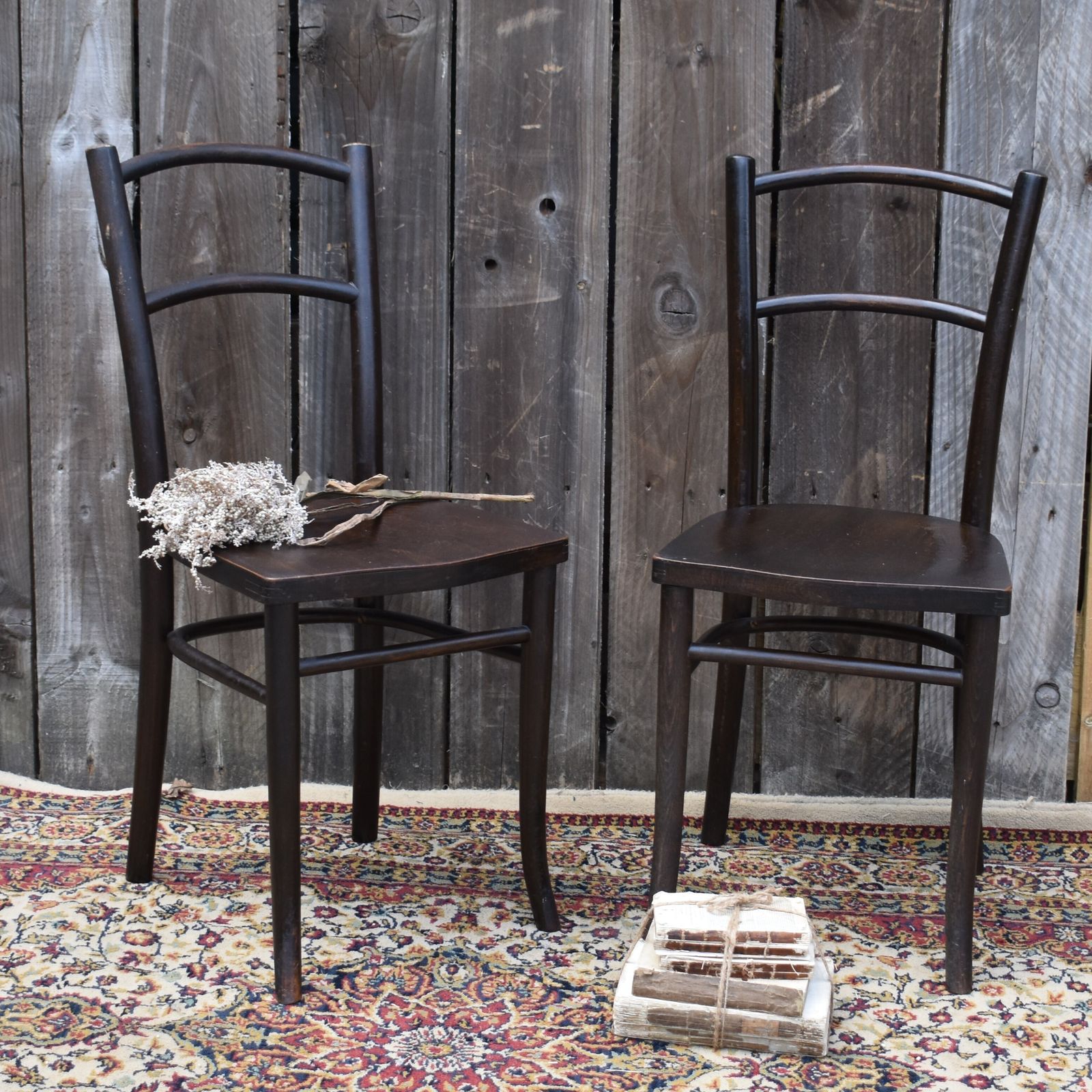 Antique 1920s Mundus J & J Kohn Bentwood Thonet Style Shield Seat Chairs Pair
