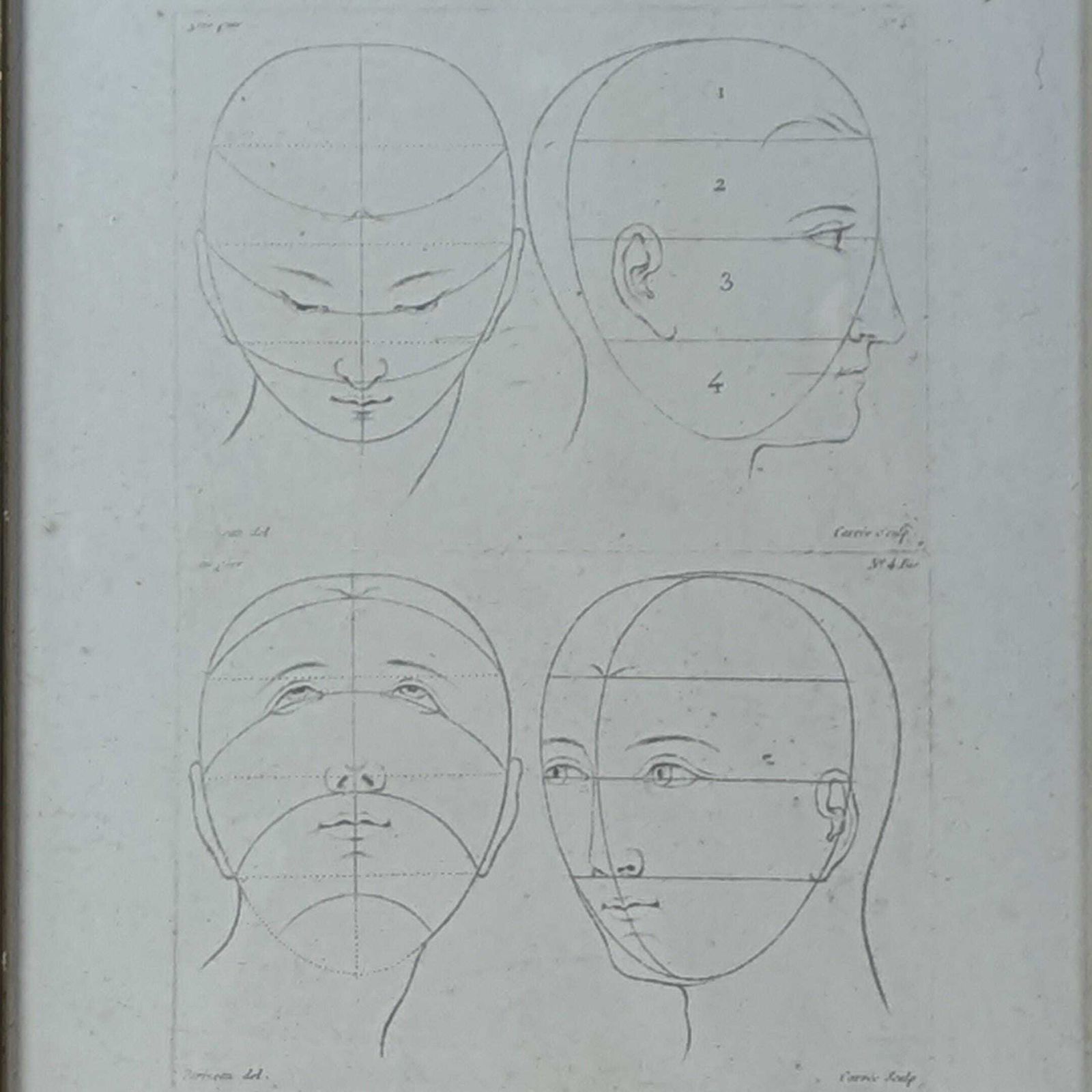 Antique 18th Century French Engraving By Parizeau & Carré, Original Anatomical Art Study Of Face Proportions photo furniture
