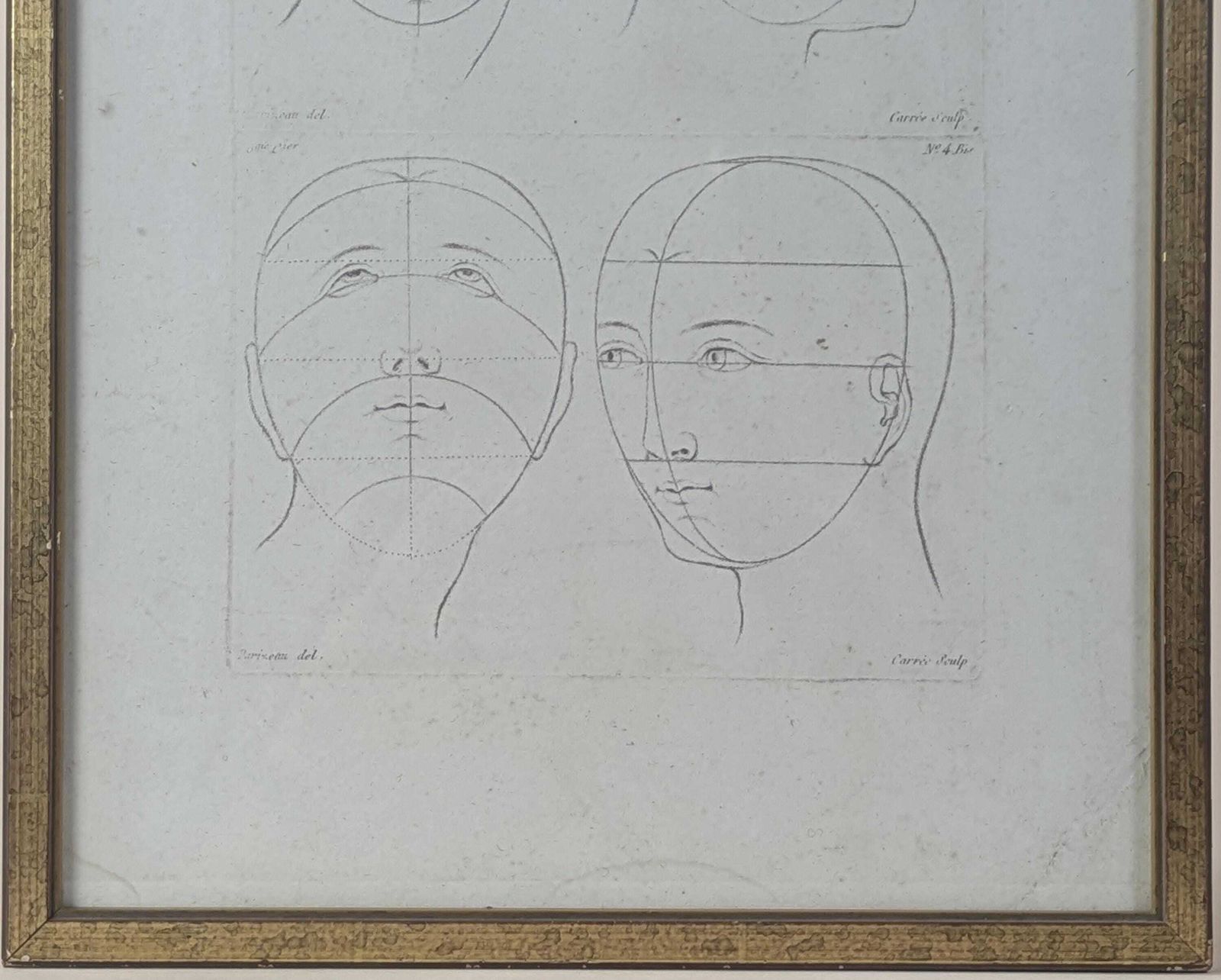 Antique 18th Century French Engraving By Parizeau & Carré, Original Anatomical Art Study Of Face Proportions photo for sale