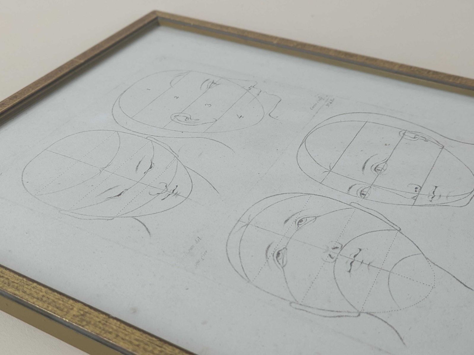 Antique 18th Century French Engraving By Parizeau & Carré, Original Anatomical Art Study Of Face Proportions photo vinterior
