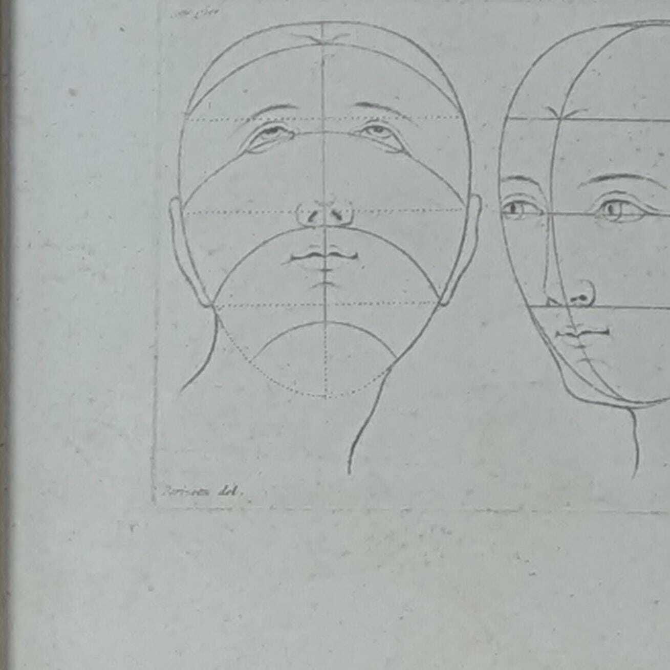 Antique 18th Century French Engraving By Parizeau & Carré, Original Anatomical Art Study Of Face Proportions photo buy