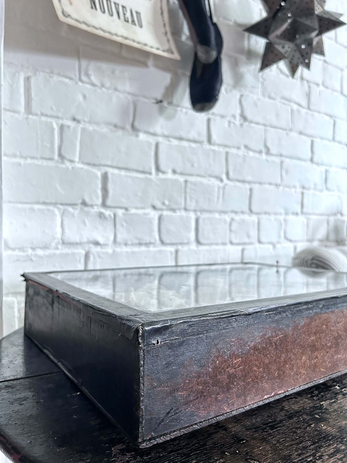 photo for sale Wunderkammer Vintage Curiosity Collection Glass Fronted Wooden Box Of Vintage Shells With Crab