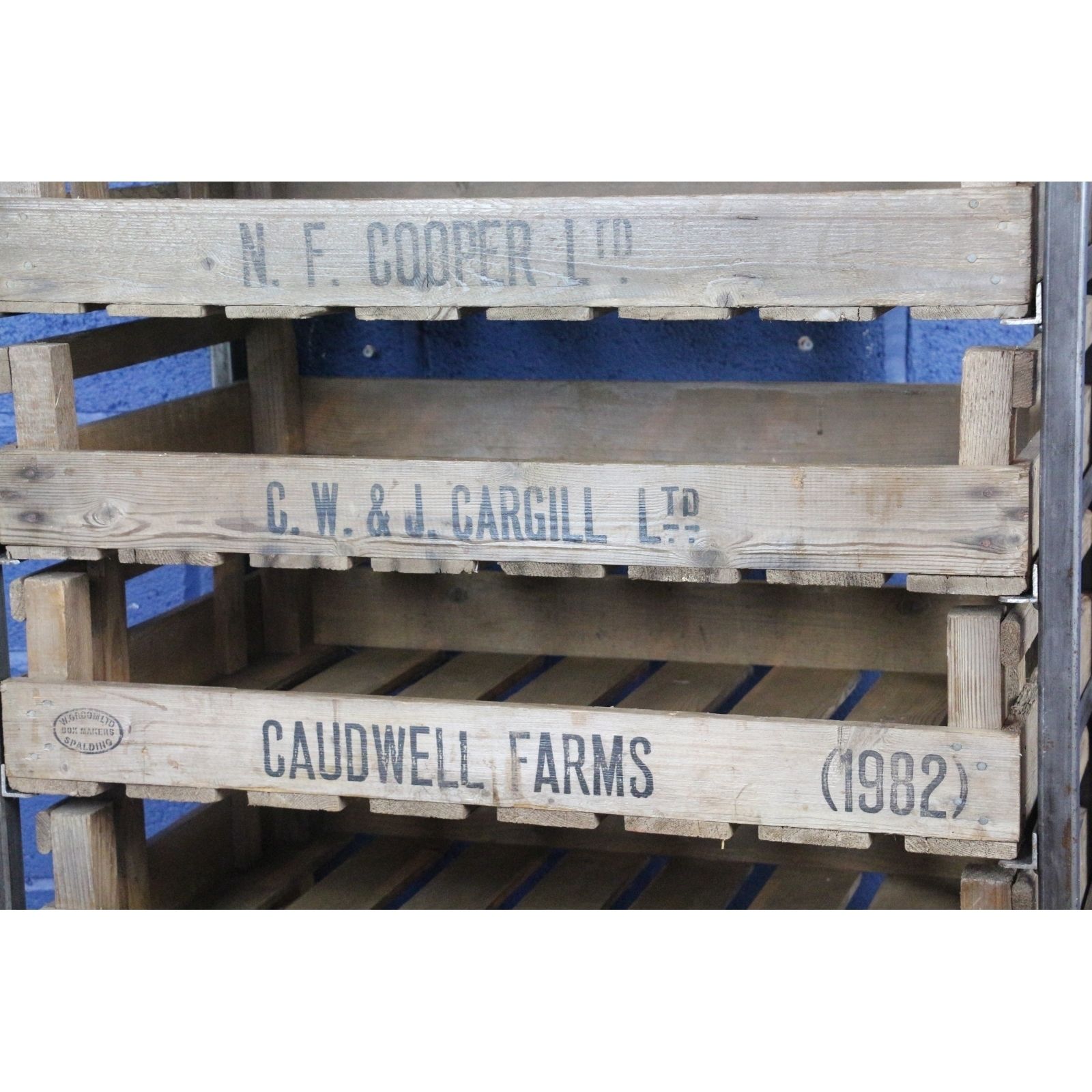 An Industrial Chest Of 8 Drawers, Kitchen, Garden, Cafe Storage,  Set With Potato Chitting Trays photo for sale