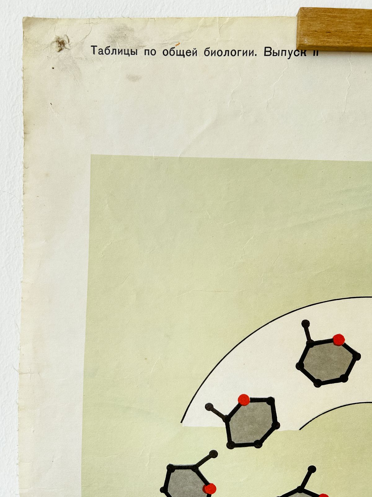 1978 Original Soviet Vintage Biology School Chart "Carbohydrate Metabolism" Paper On Linen, Ussr Mid Century Educational Poster photo vintage