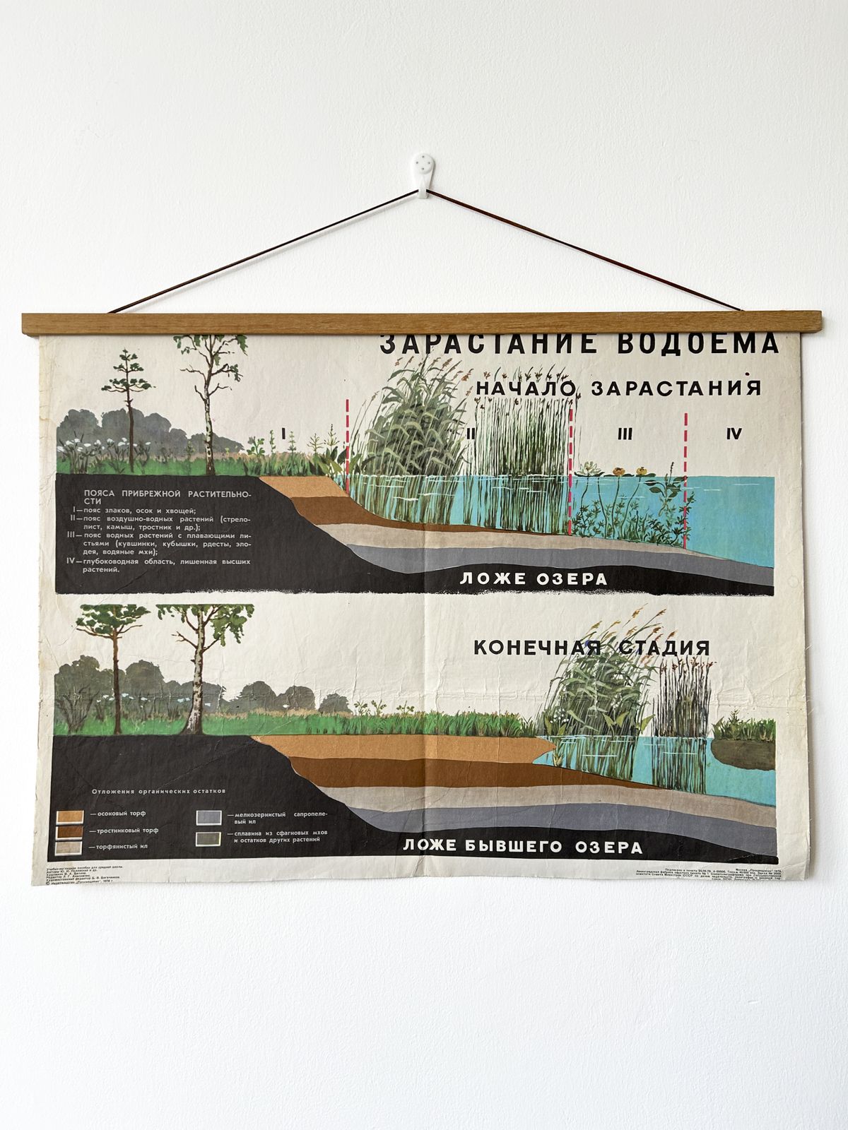 1978 Original Soviet Vintage Biology School Chart "Overgrowing Of A Water Body" Paper On Linen, Ussr Educational Botanical Diagram photo furniture