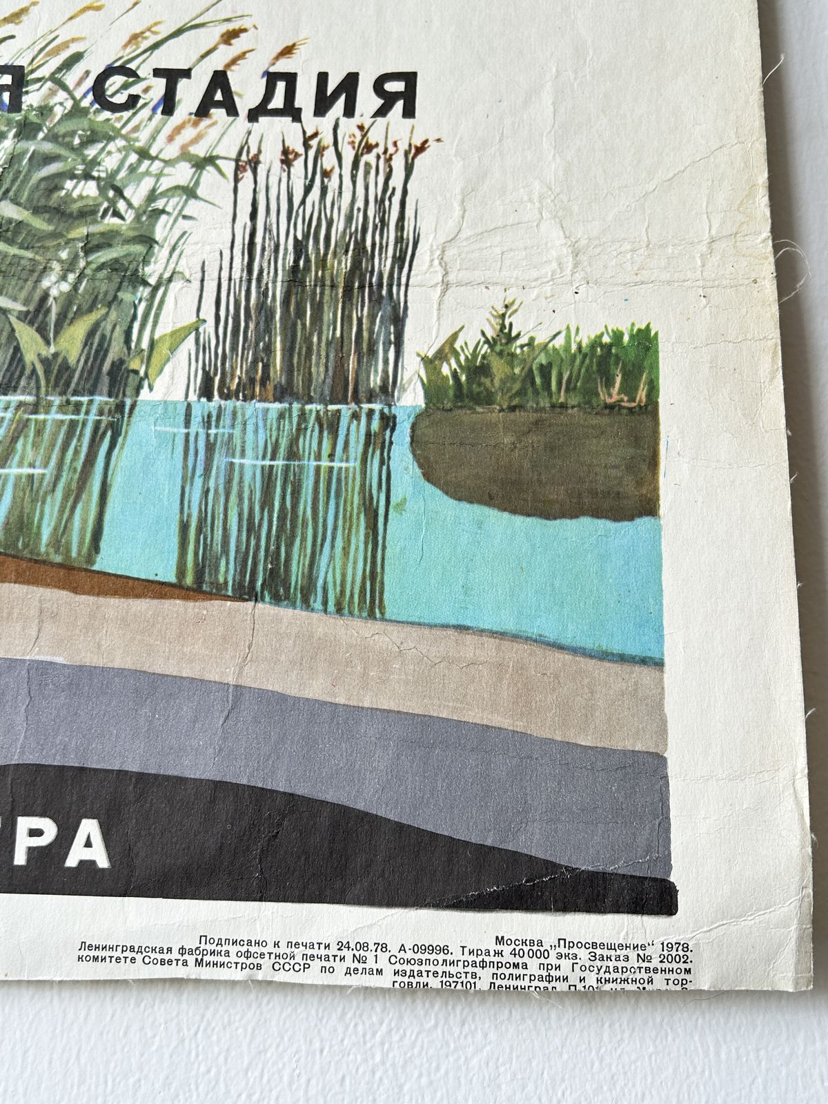 1978 Original Soviet Vintage Biology School Chart "Overgrowing Of A Water Body" Paper On Linen, Ussr Educational Botanical Diagram photo Art