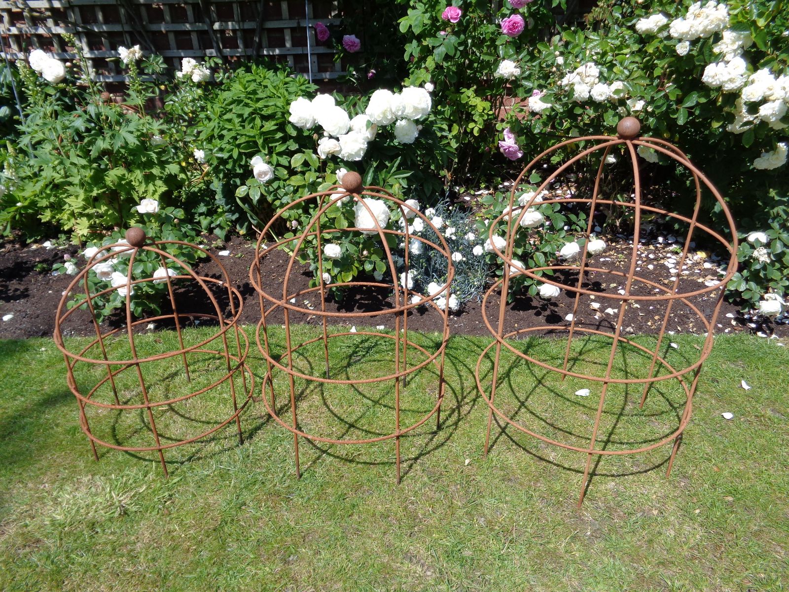Garden Metal Round Obelisk Plant Support   Large photo Garden Decor