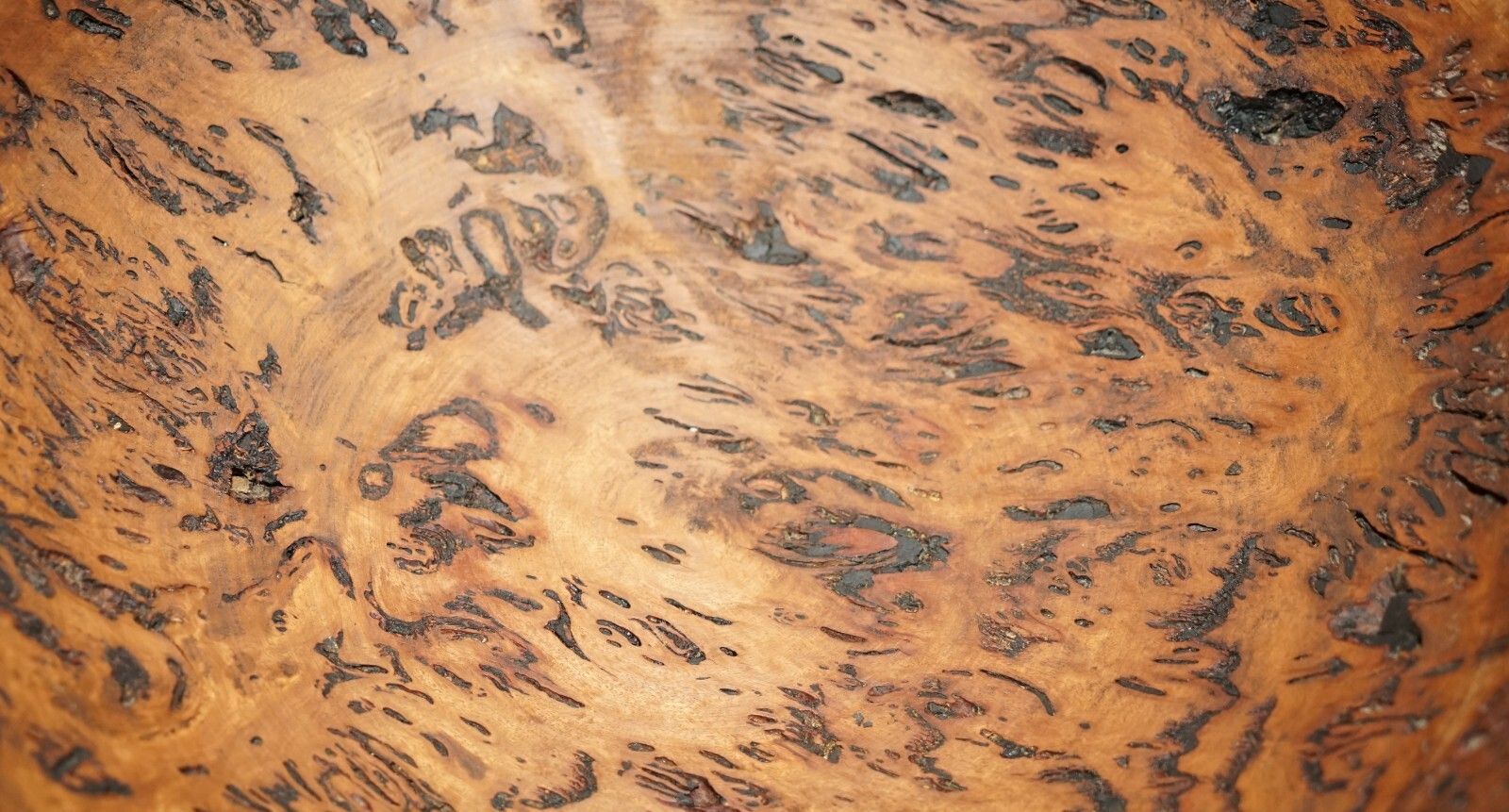 Home Decor Extra Large Heavily Burred Eucalyptus Bowl Signed B Moss For Fruit Etc Must See photo