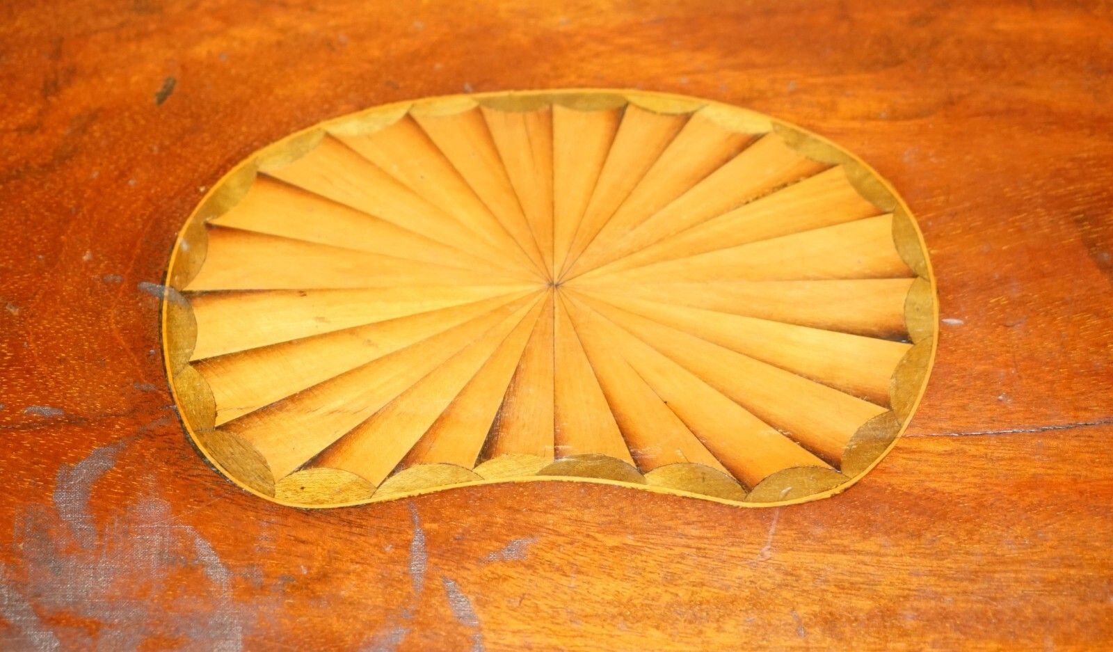 photo vinterior Antique Circa 1880 Sheraton Revival Satinwood Walnut Serving Tray Bronze Handles