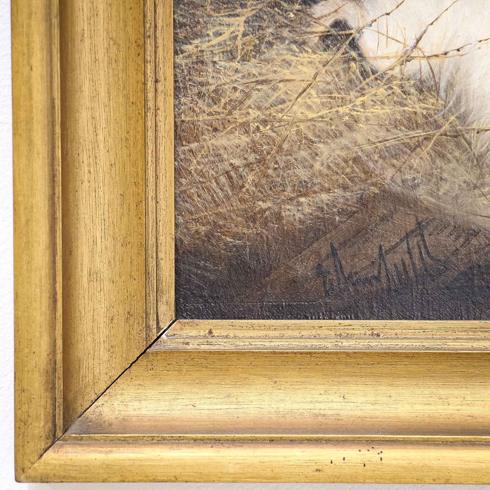 Pair Of Oil Paintings Of Terrier Dogs By Edward Armfield photo Art