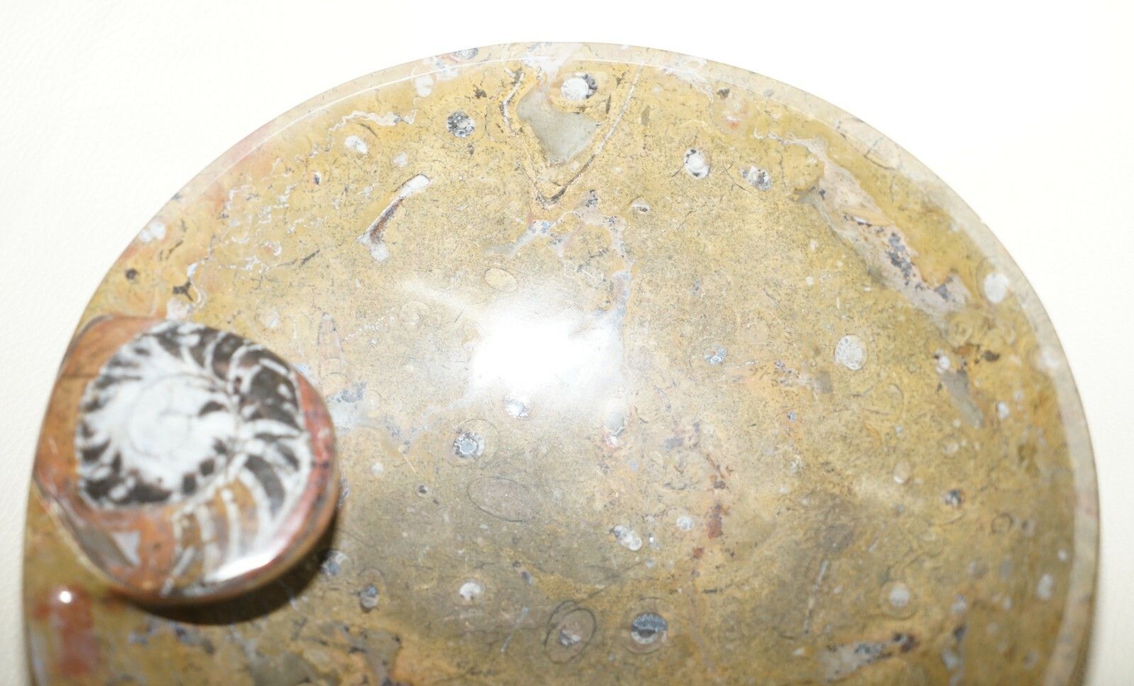 1 Of 4 Sublime Moroccan Ammonite Atlas Mountains Fossil Bowls Marble Finish photo 225.0