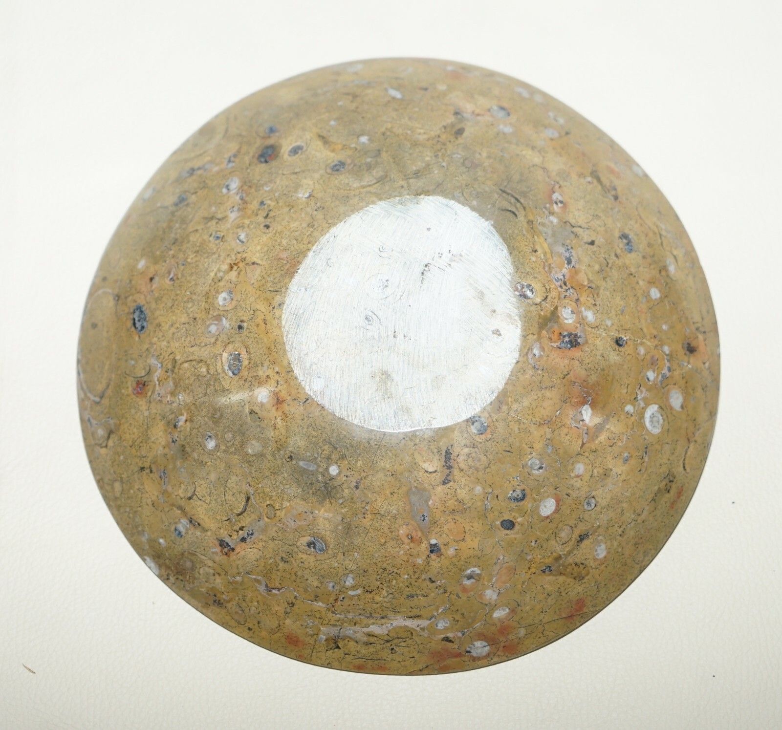 photo furniture 1 Of 4 Sublime Moroccan Ammonite Atlas Mountains Fossil Bowls Marble Finish