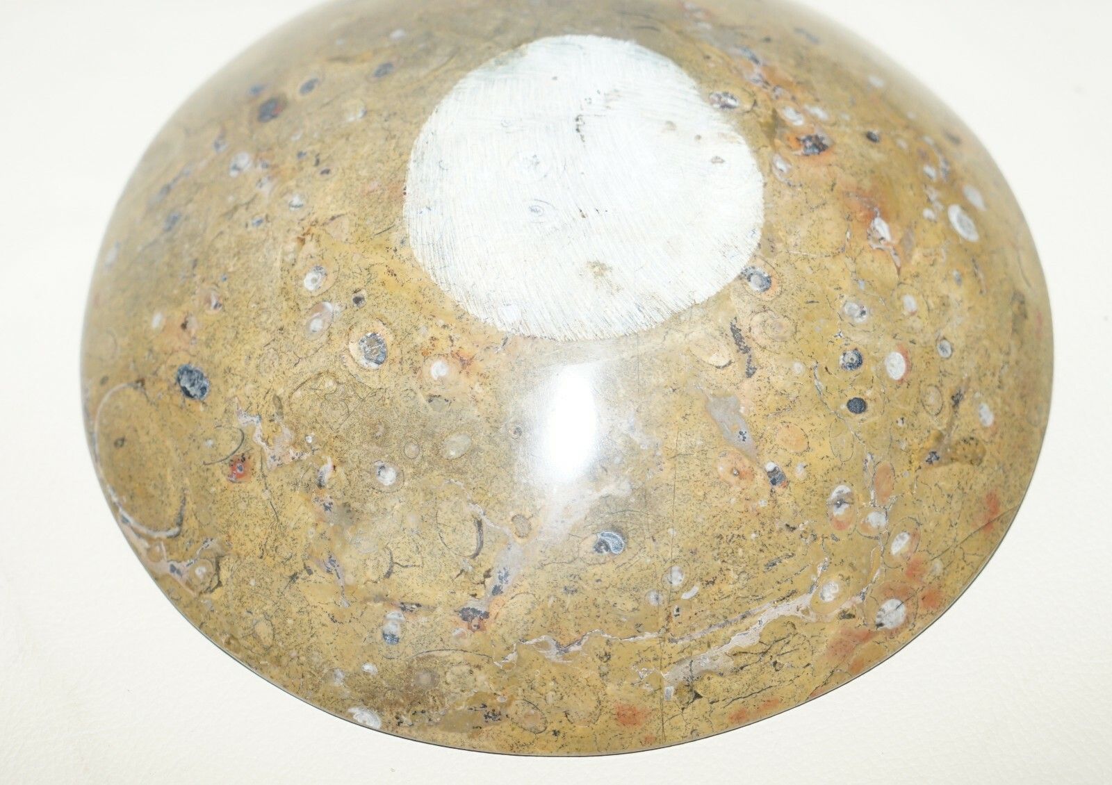 photo for sale 1 Of 4 Sublime Moroccan Ammonite Atlas Mountains Fossil Bowls Marble Finish