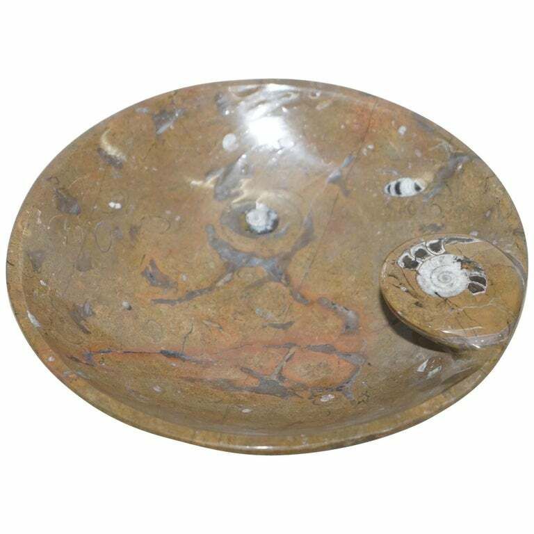 1 Of 4 Very Rare Moroccan Ammonite Atlas Mountains Fossil Bowls Marble Finish