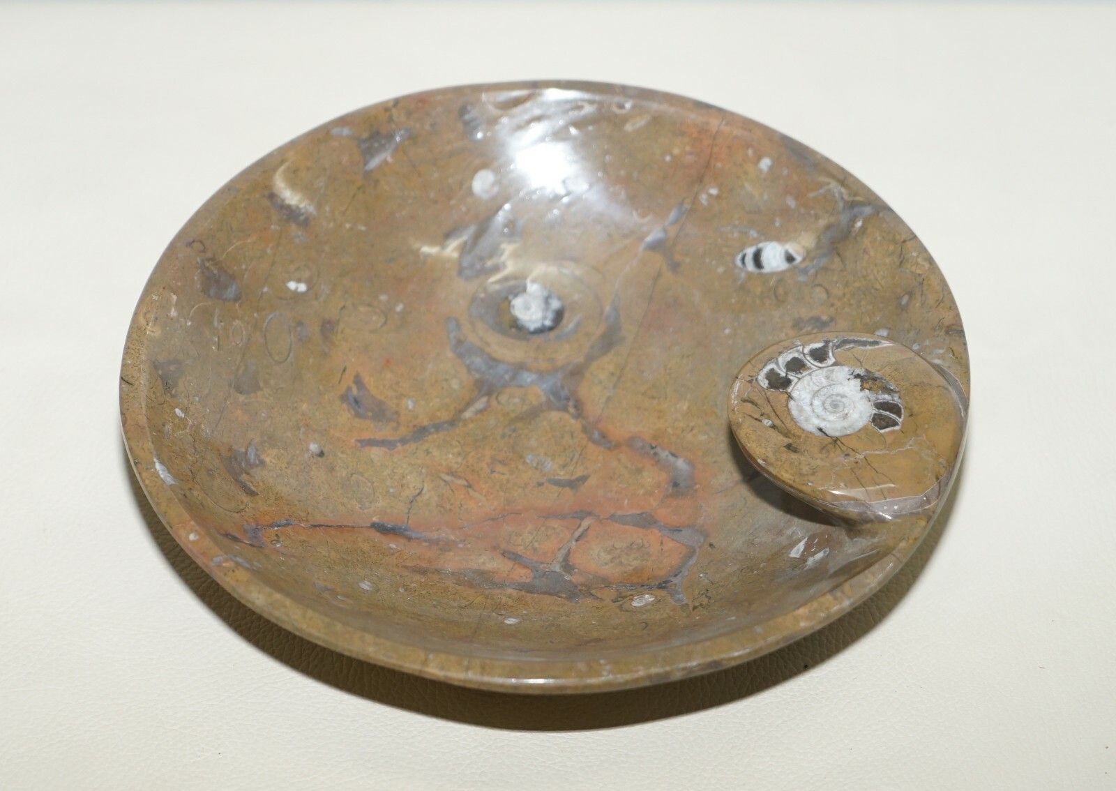 1 Of 4 Very Rare Moroccan Ammonite Atlas Mountains Fossil Bowls Marble Finish photo furniture