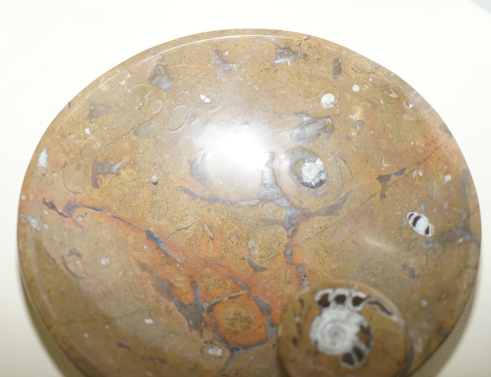 1 Of 4 Very Rare Moroccan Ammonite Atlas Mountains Fossil Bowls Marble Finish photo Home Decor