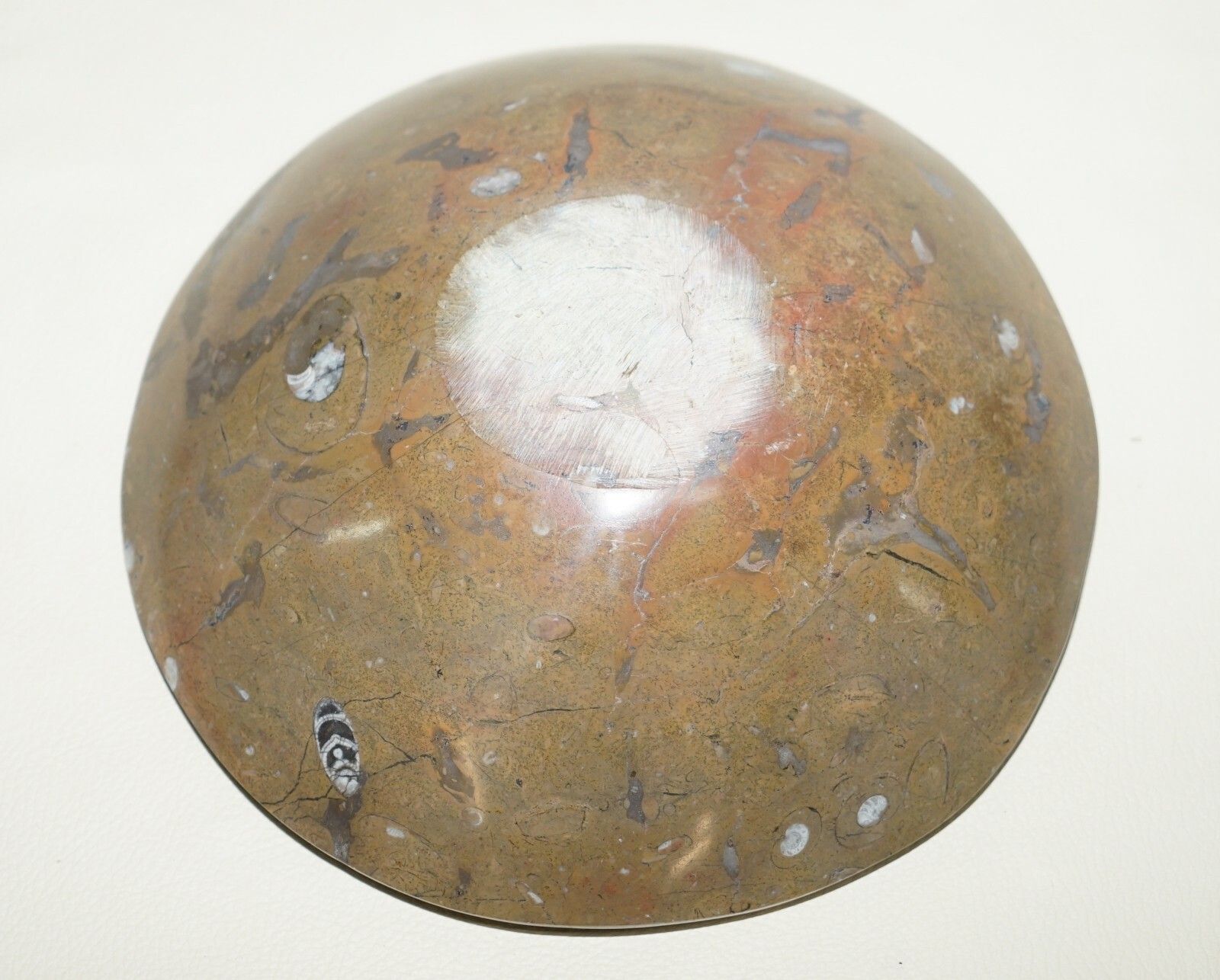 photo furniture 1 Of 4 Very Rare Moroccan Ammonite Atlas Mountains Fossil Bowls Marble Finish