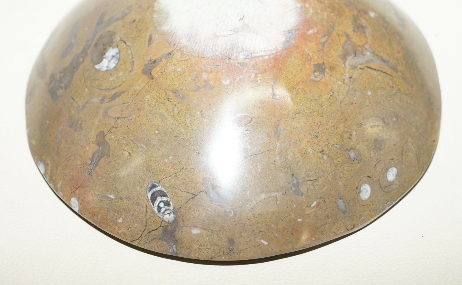 photo for sale 1 Of 4 Very Rare Moroccan Ammonite Atlas Mountains Fossil Bowls Marble Finish