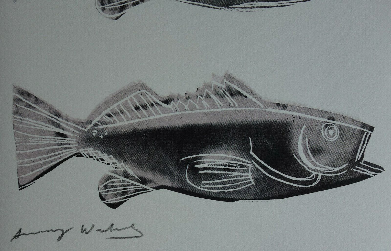 Fine Andy Warhol Pop Art Print   Fish, Signed & Stamped With Estate Stamp photo 323.0