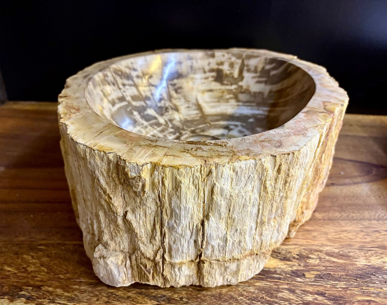 Modern Organic Petrified Wood Sink, Grey/ Brown/ Beige   Polished, Idn 2025 photo for sale