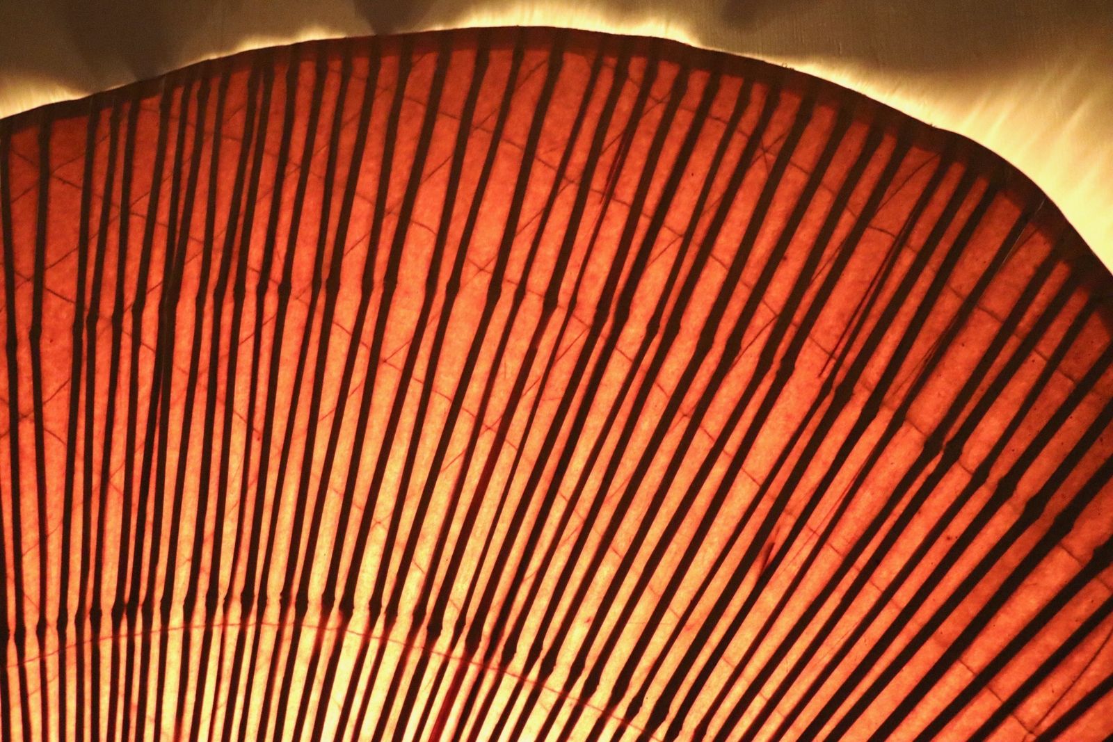 photo furniture Large Uchiwa Floor Lamp By Ingo Maurer For M Design, Germany 1977