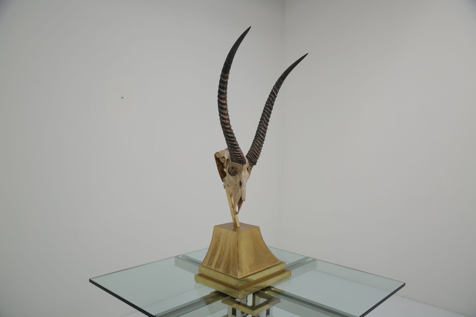 photo furniture Taxidermy Study Of An African Gazelle With Antlers By Anthony Redmile, London, 1970s.