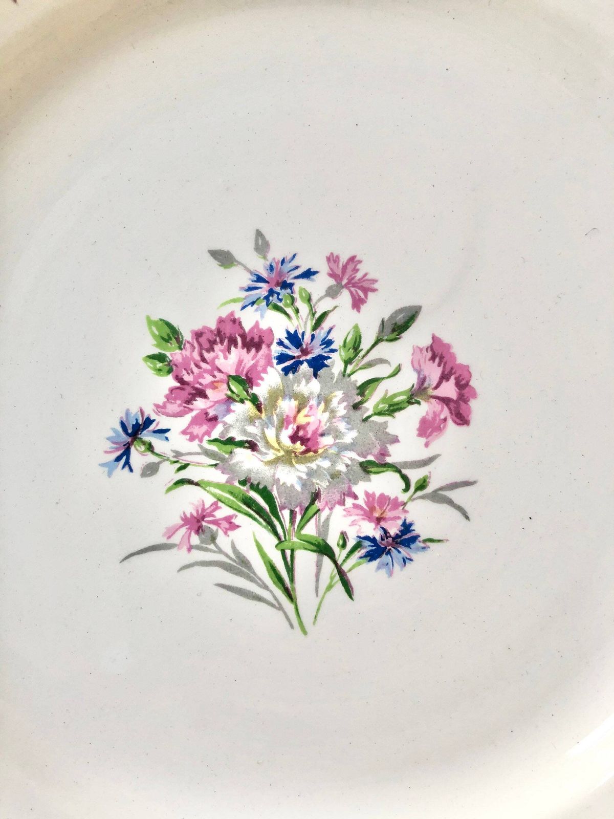 Old Earthenware Dessert Plate With Flower Decoration   Lilitia Model Digoin Sarreguemines   Terre De Fer Antique French Pottery Plate photo furniture